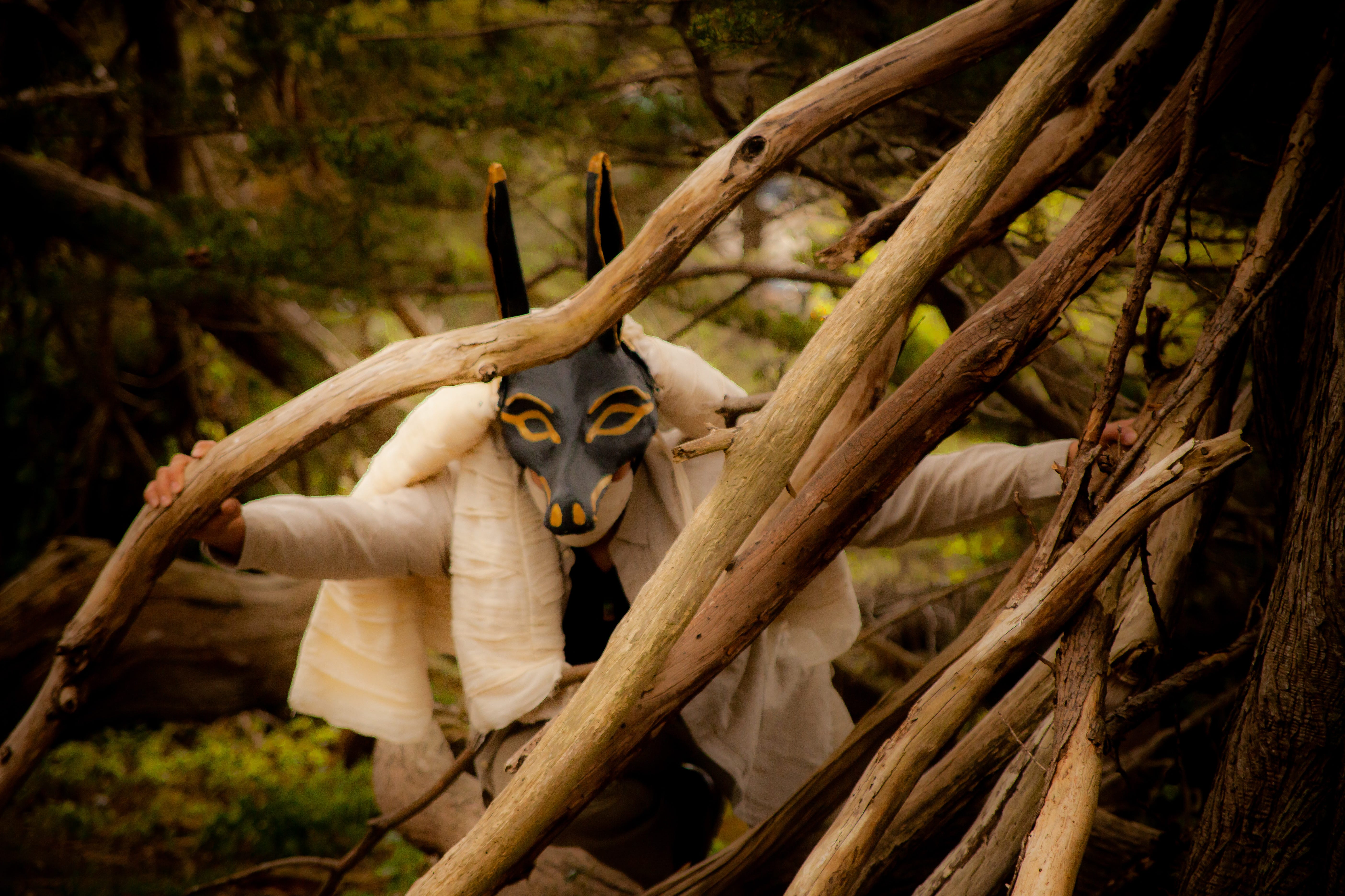 ‘Psychopomp’ is a Walk with Purpose (Review)