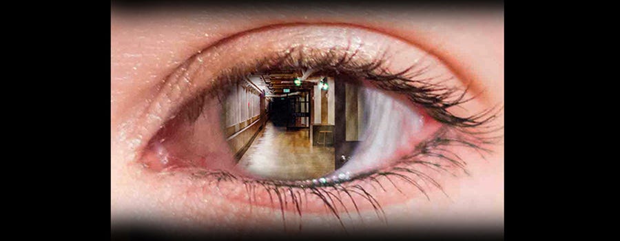 Amherst, MA: Dream Play