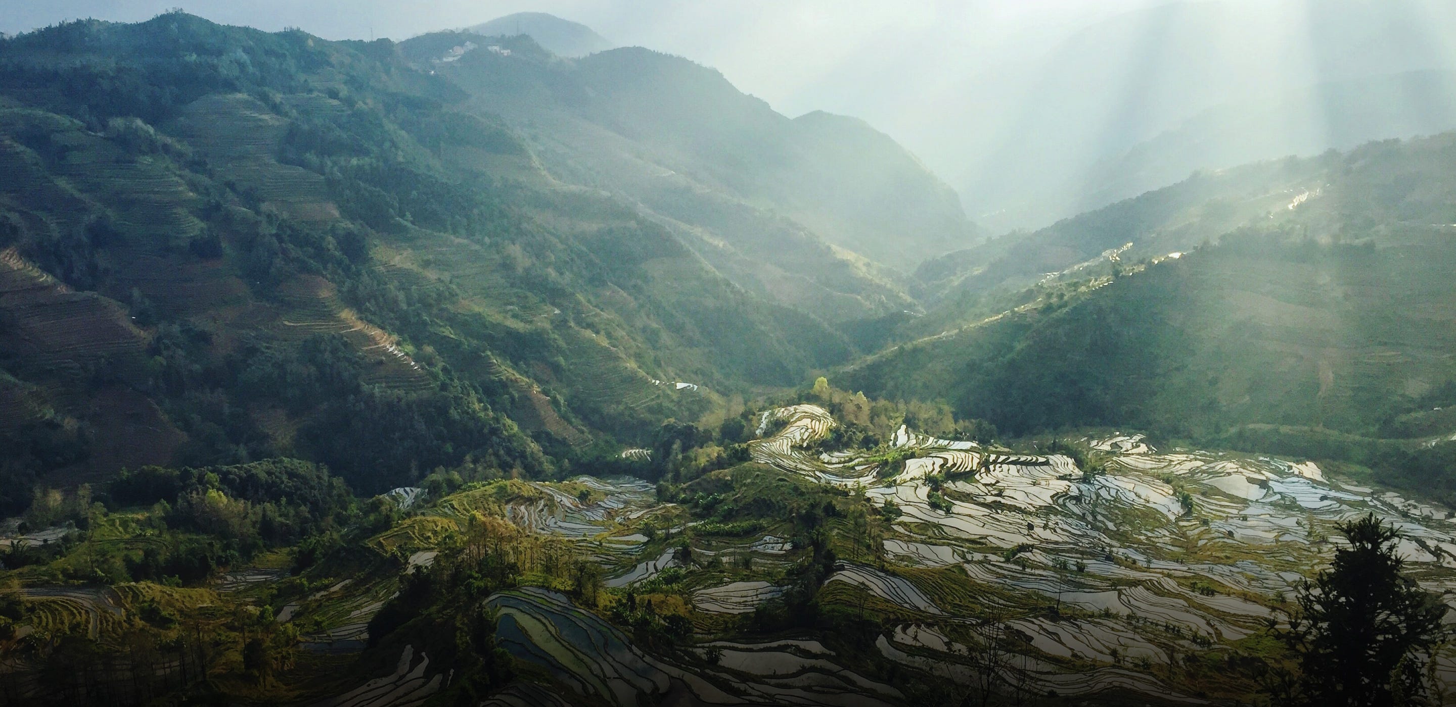 NoPro Podcast Episode 264: Supernatural