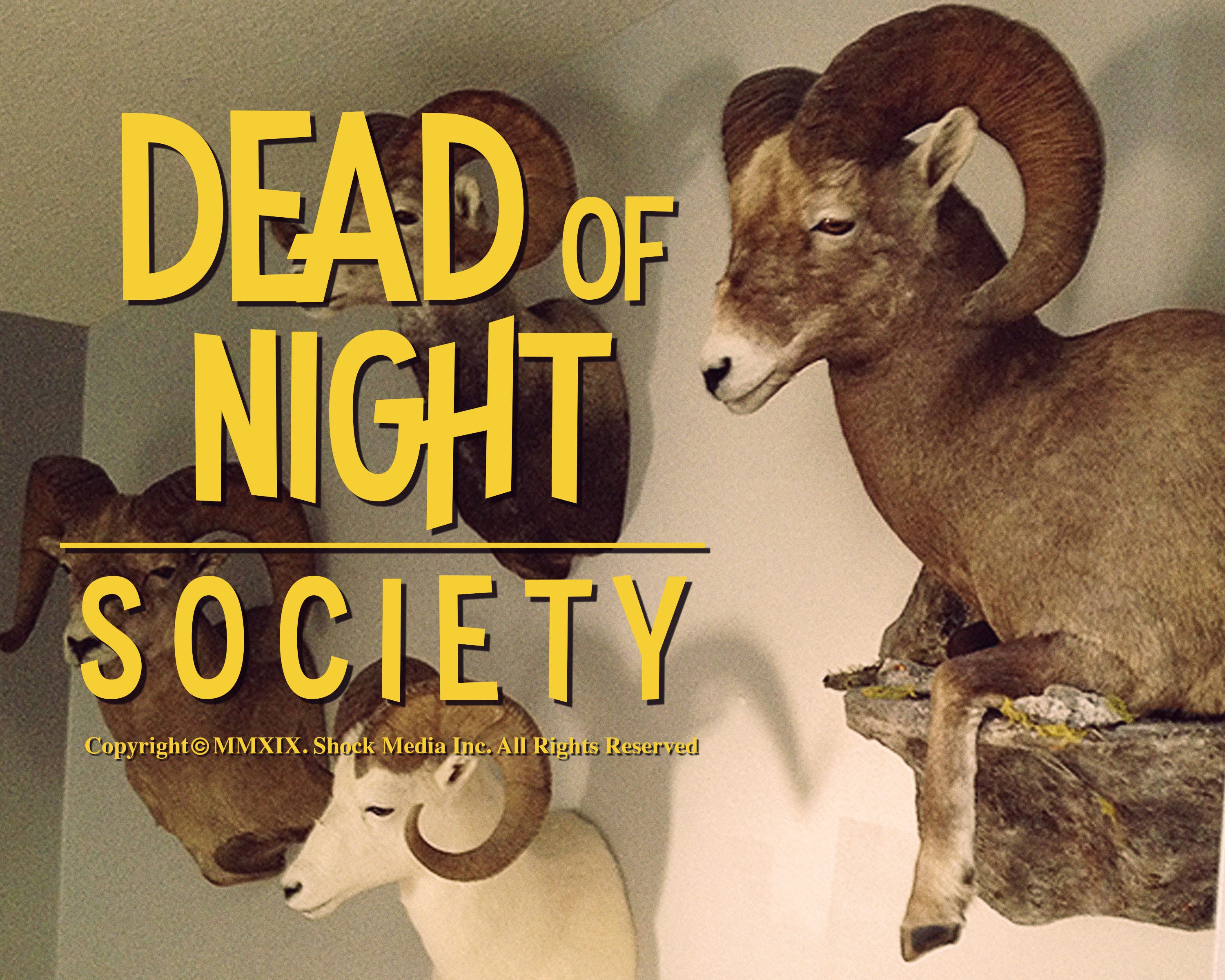 Hauppauge, NY: Dead of Night: Society