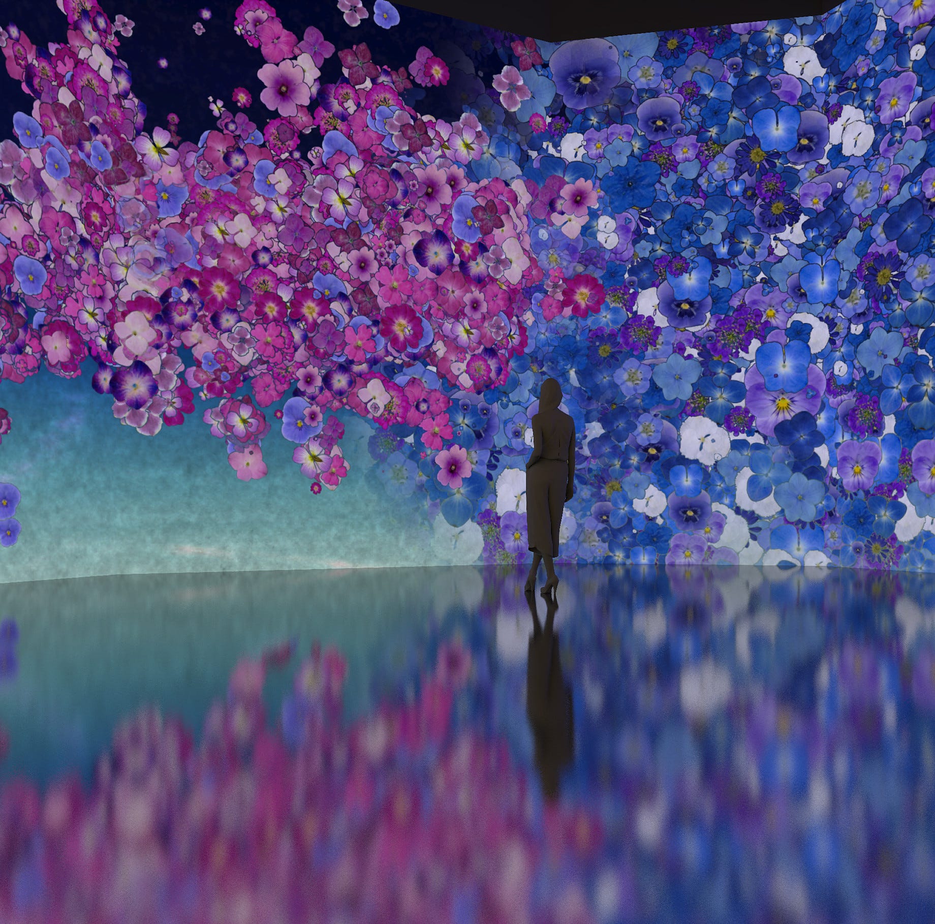 DC: In Peak Bloom