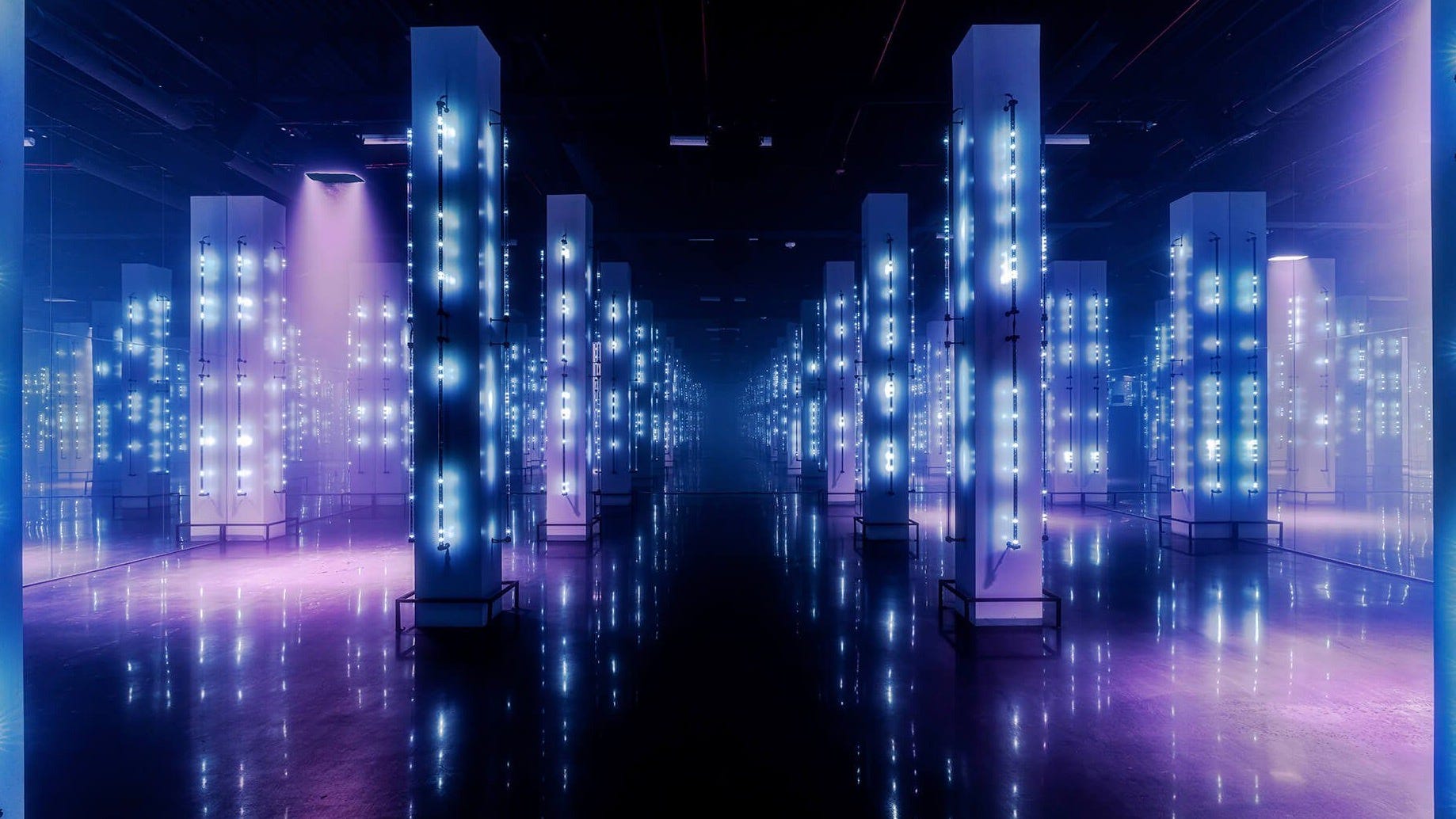 Cluster (Capsule Review)