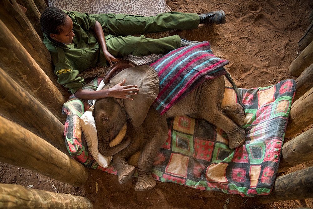 Exploring The World, Virtually: A Look At EarthX’s Interactive Programming in Dallas (Q&A)