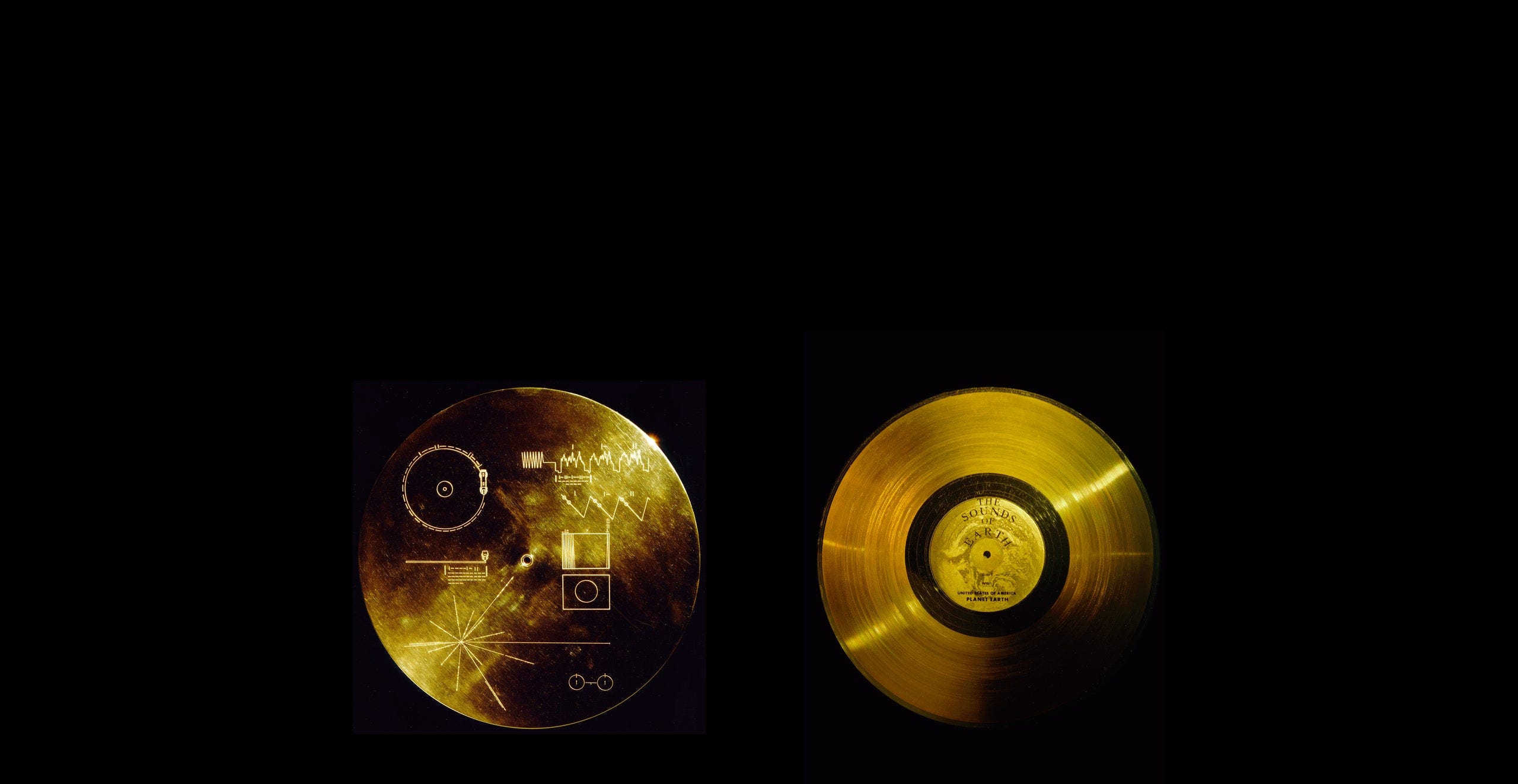 ‘each and every’ Is Made of Star Stuff (Review)