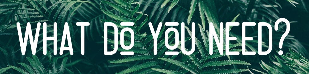 What Do You Need? (Series)