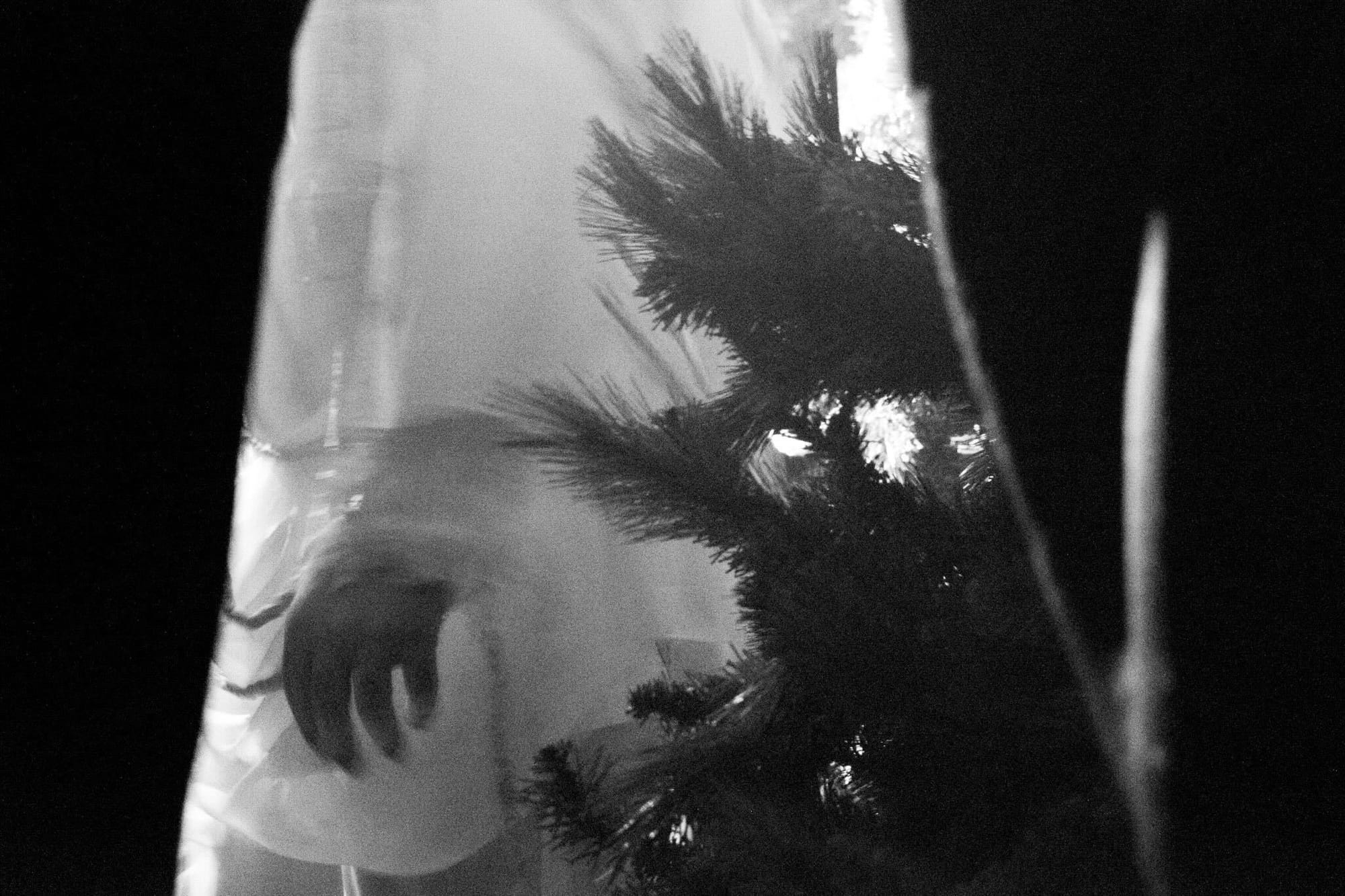 Paralysis' 'Site 2' Scales New Heights Of Immersive Horror In Colorado (The NoPro Review)