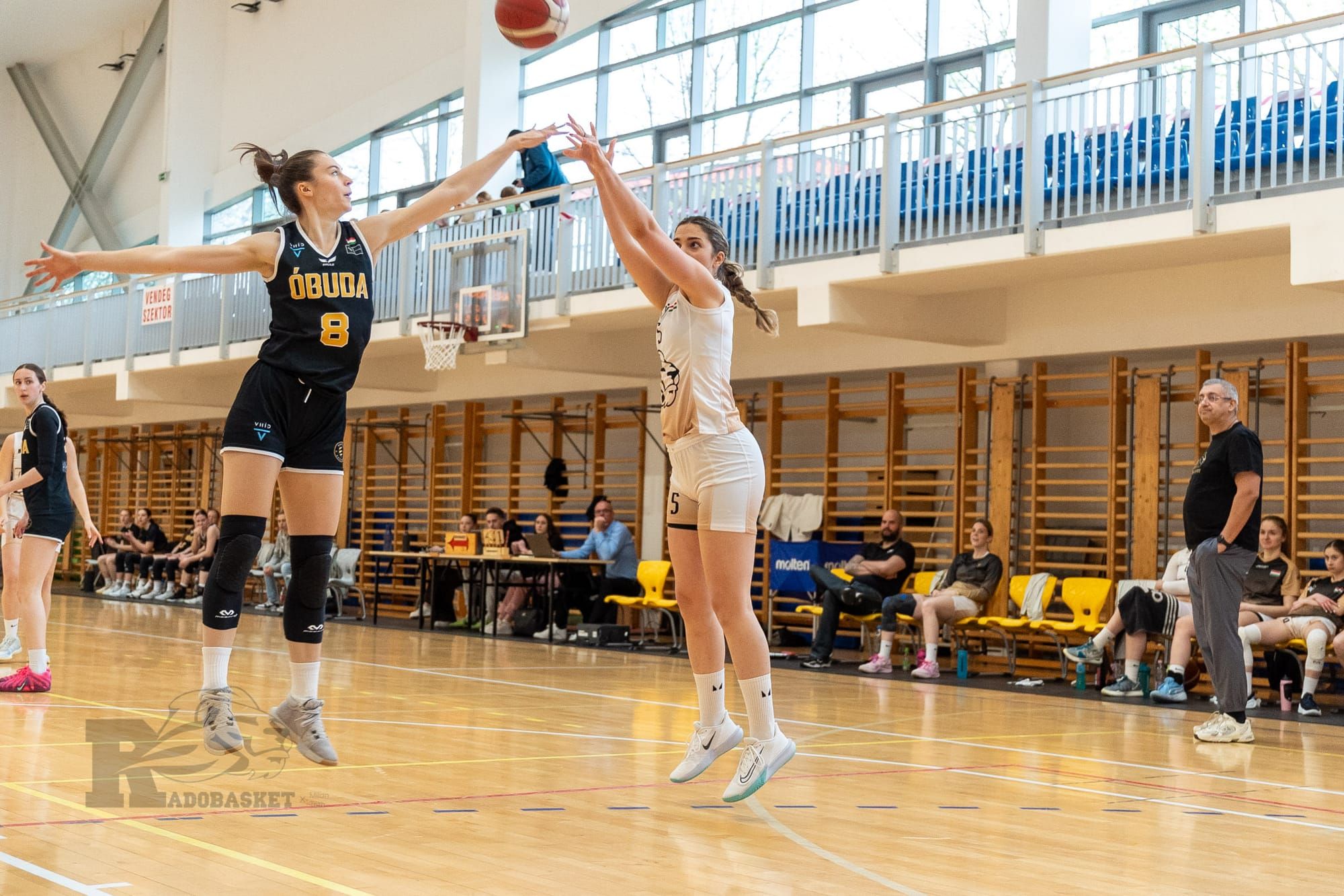 Sport hírek: airsoft bajnokság, Bálinti Úszó, TuttoBici Duatlon, Radobasket