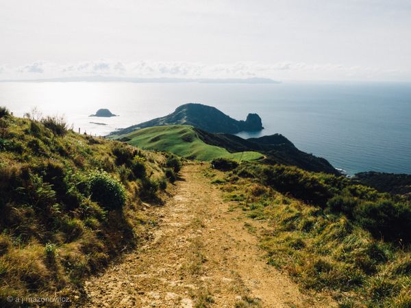 Coromandel, the Hard Way