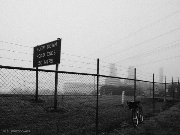 Misty Morning, Auckland