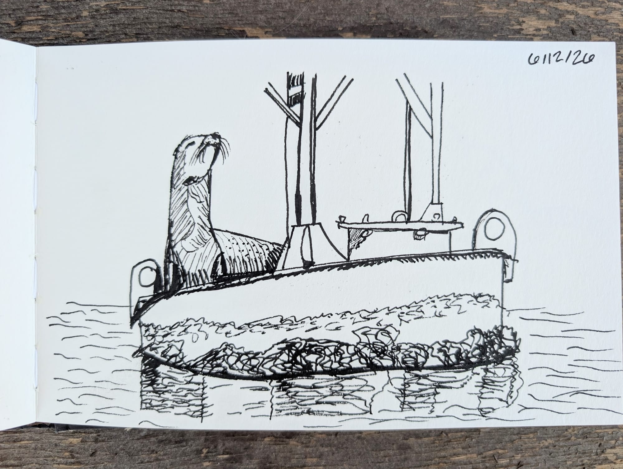 a sketch in black ink of a sea lion resting on a metal apparatus floating in the water