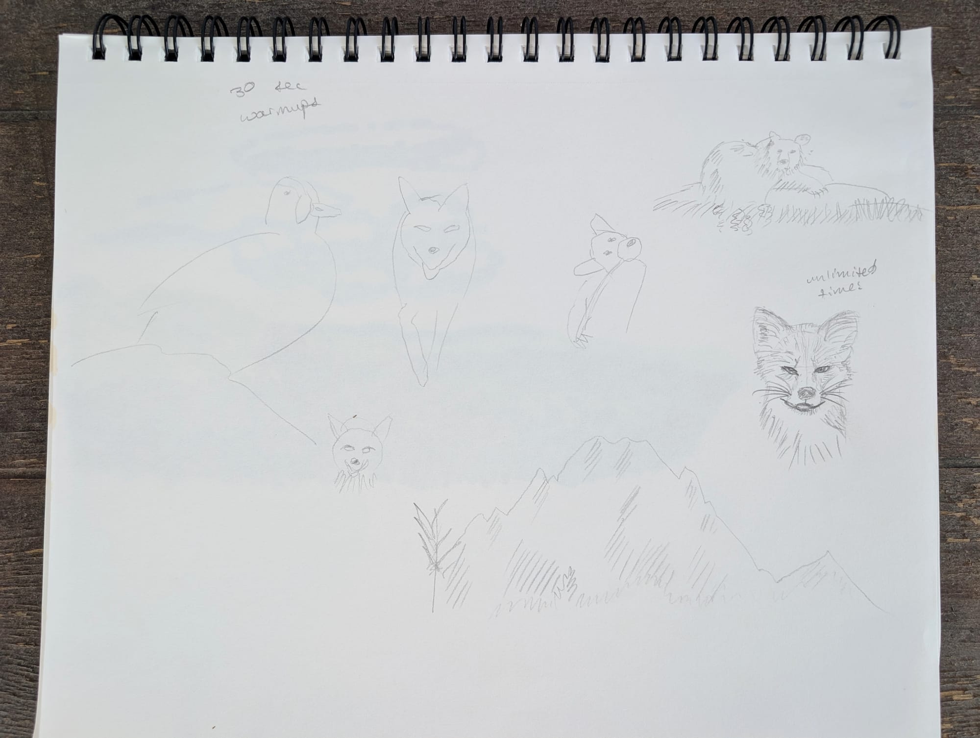 30 second pencil sketches of a duck, a couple wolves or foxes that look cursed, a little bear, another bear, a mountain, and finally a more detailed portrait sketch of a fox labeled "unlimited time".