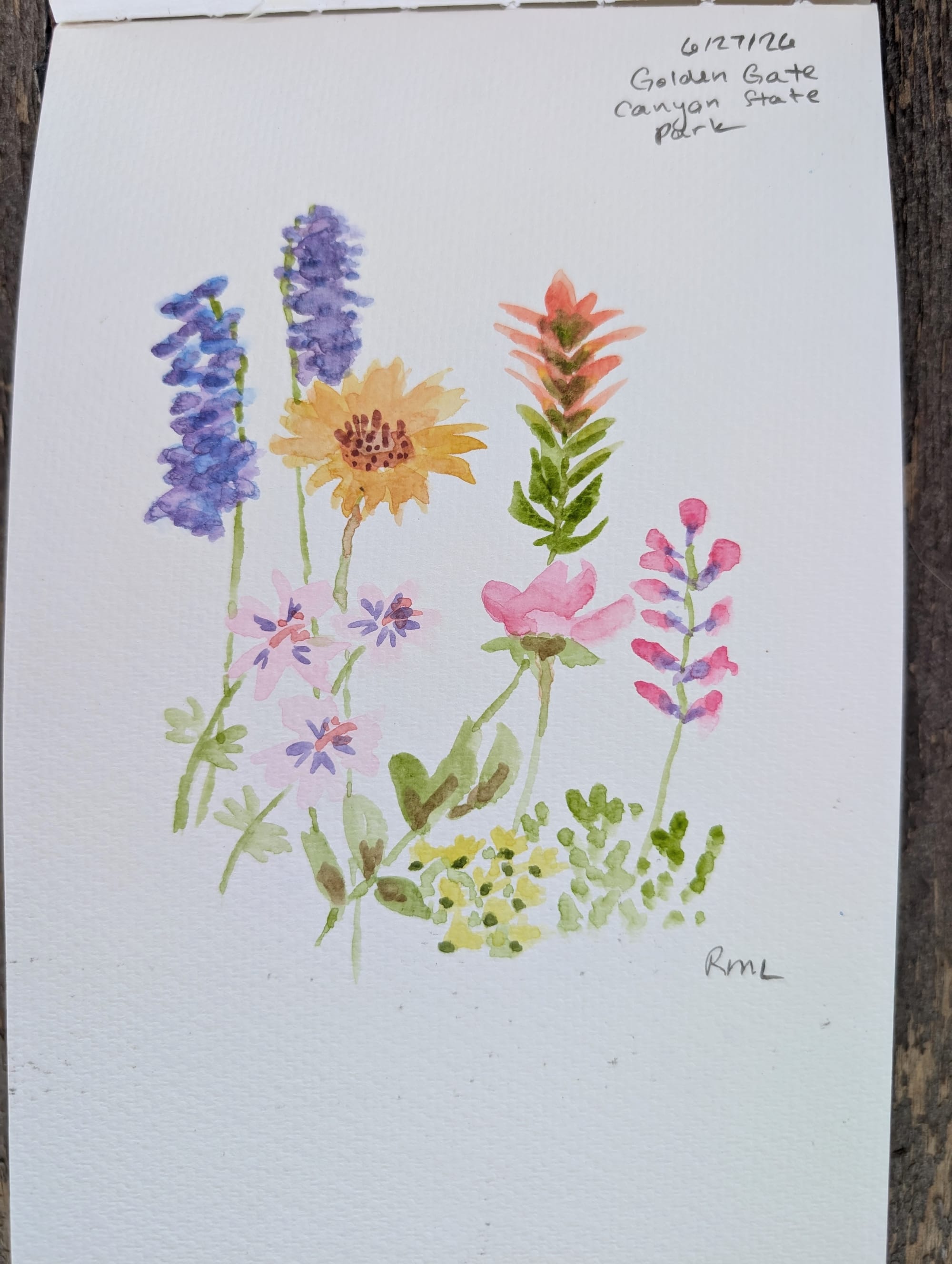 watercolor in a sketchbook: a composition of various wildflowers