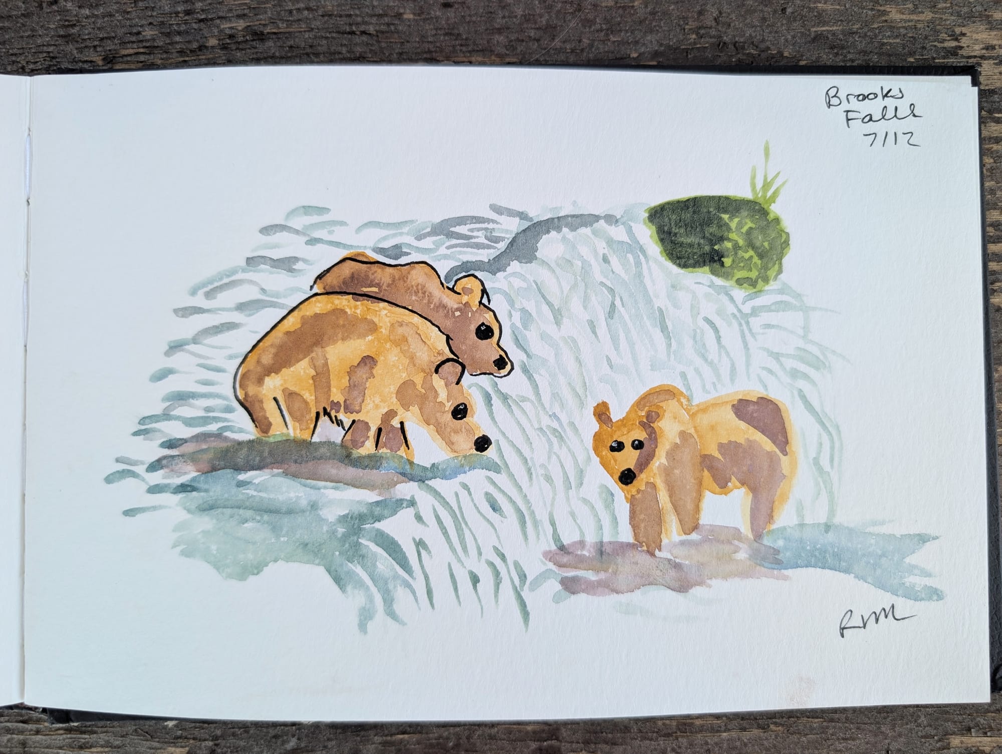 a watercolor and ink sketch of bears fishing Brooks Falls. kind of cartoony.
