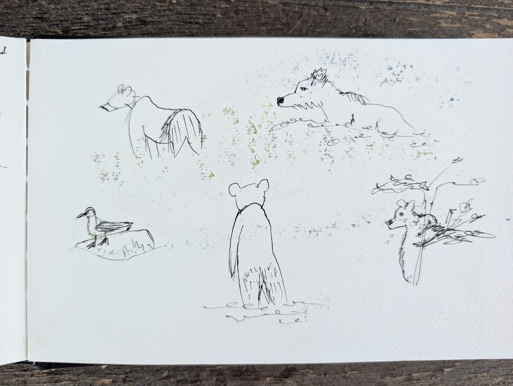 fast and loose ink sketches of bears and a bird on a rock
