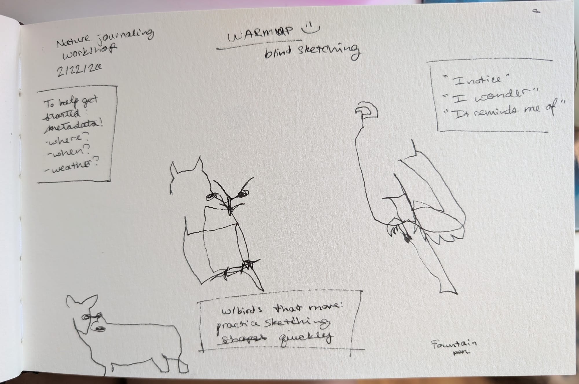 a pen sketch of a deer and two raptors where their faces are offset from their heads