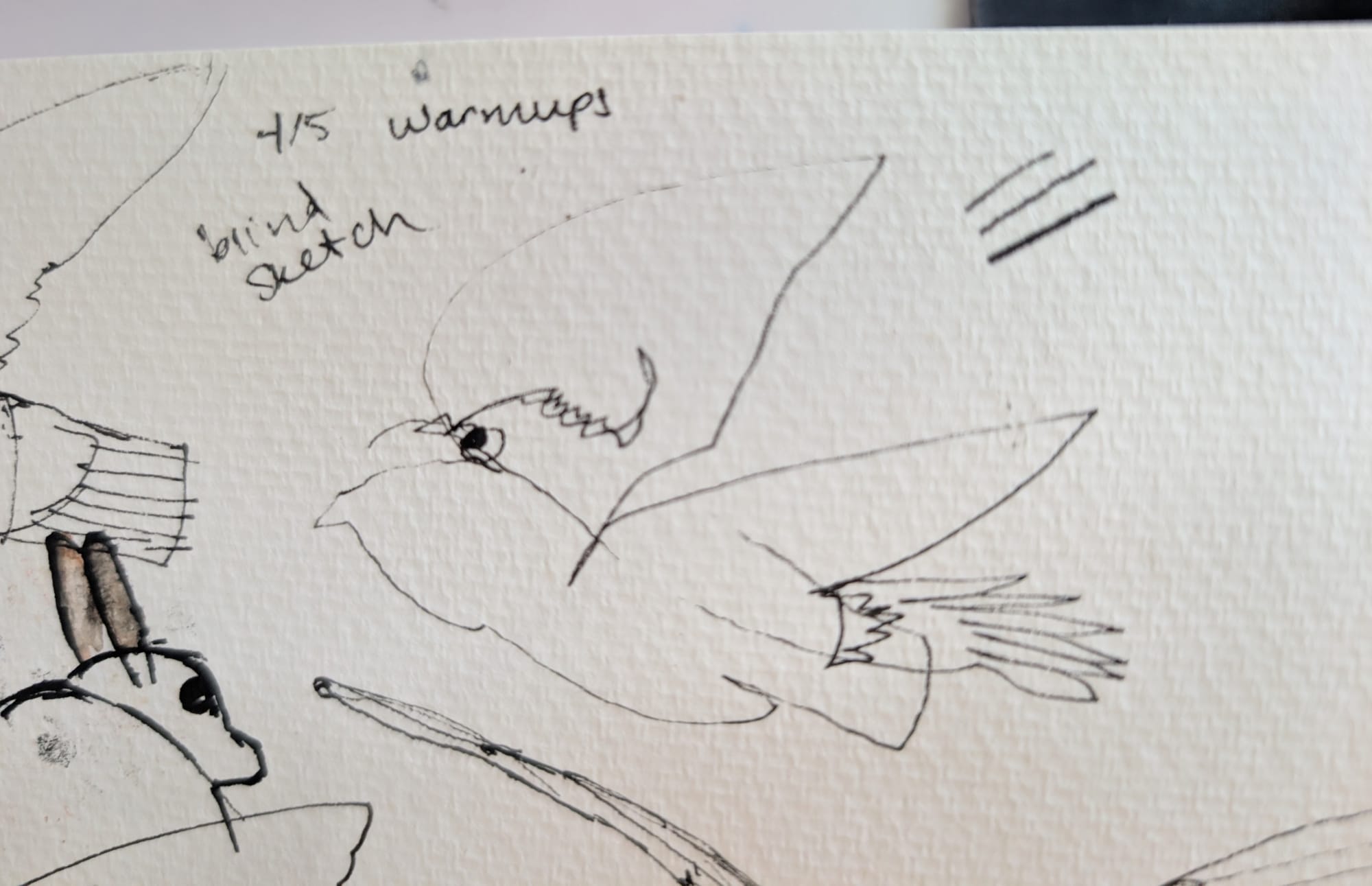a pen sketch of a swallow but everything is offset from itself