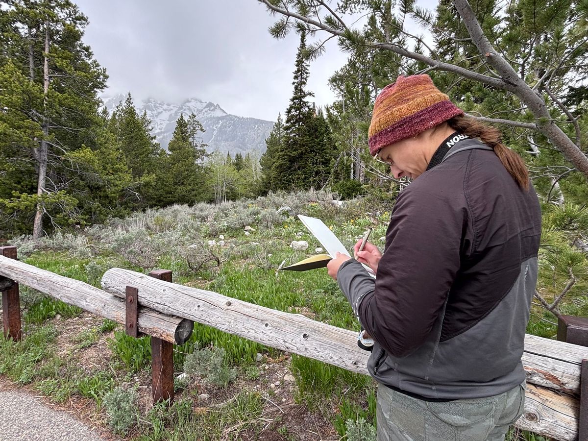 Why I love sketching on-site