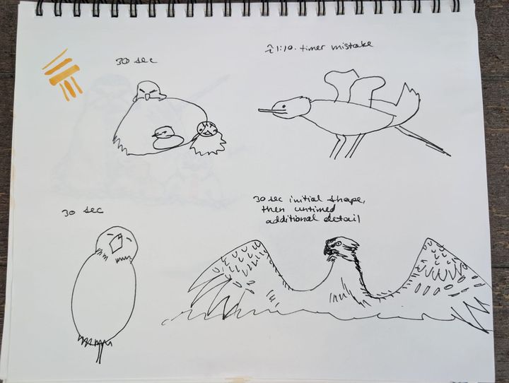 four pen sketches of birds done in about 30 seconds each
