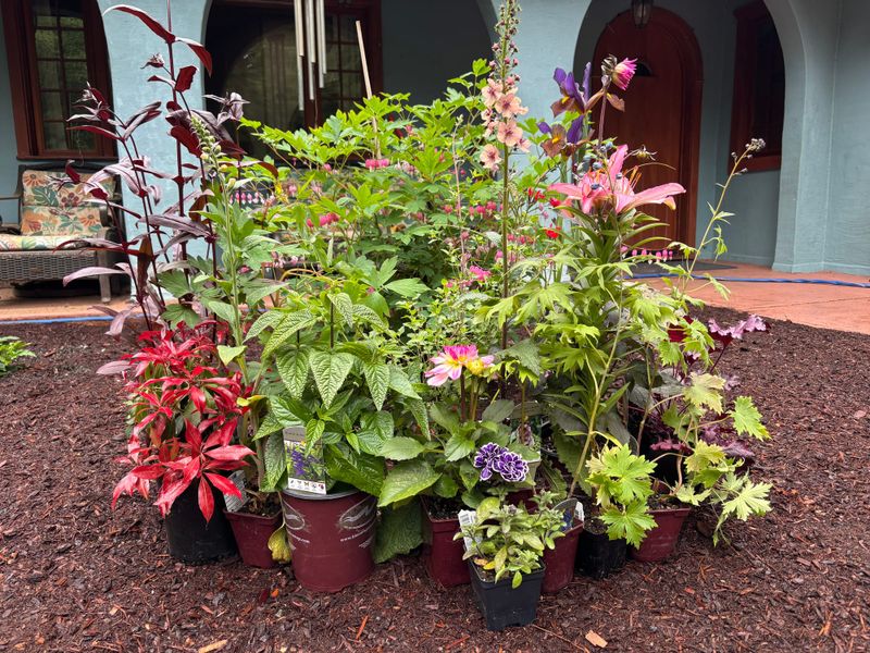 Plants Acquired