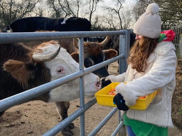 Mucking in at Foal Farm
