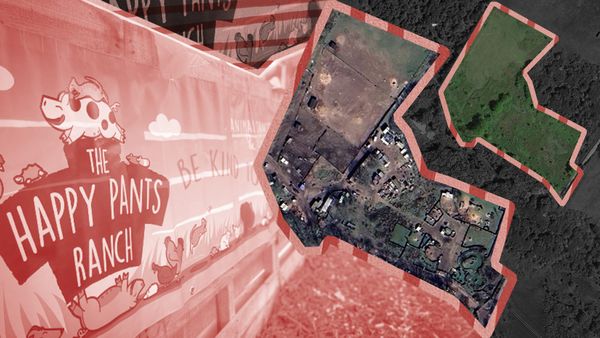 A rescue sanctuary meets the planning system