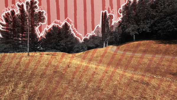 Kent’s drought and hosepipe bans expose a messy water map