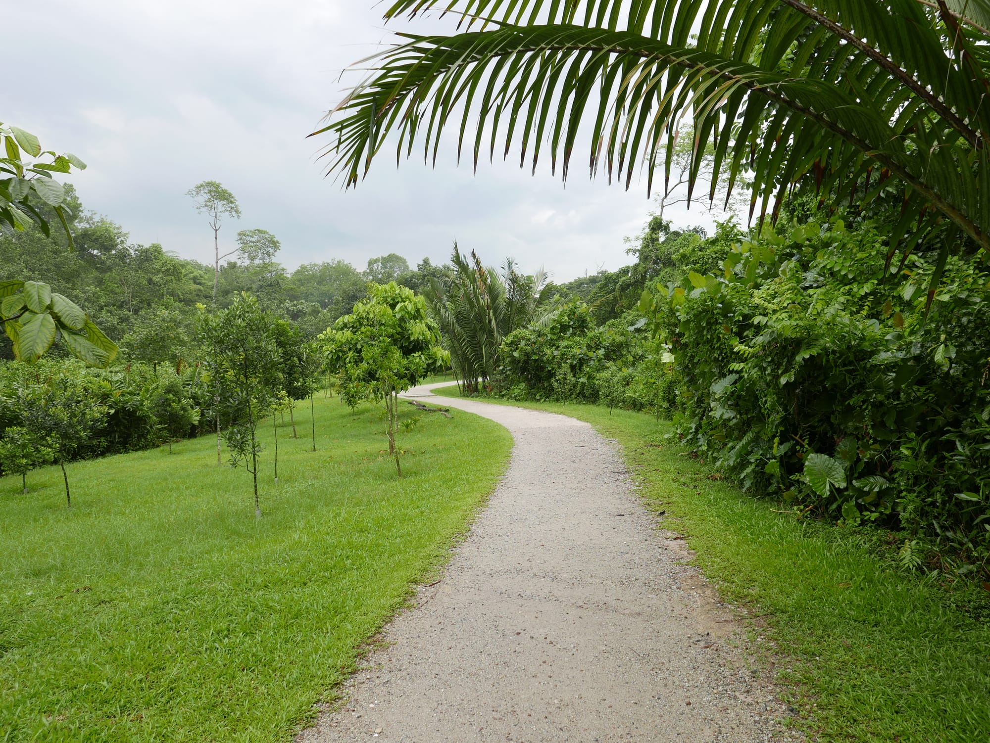 Photo by Author — Admiralty Park, Woodlands, Singapore