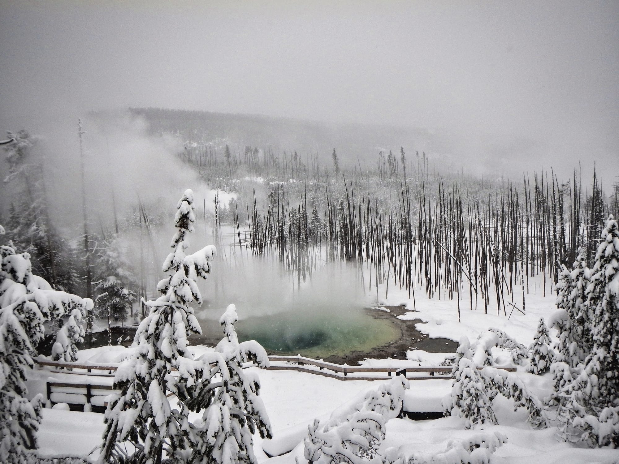 Photo by Author — thermal activity in Norris Geyser Basin