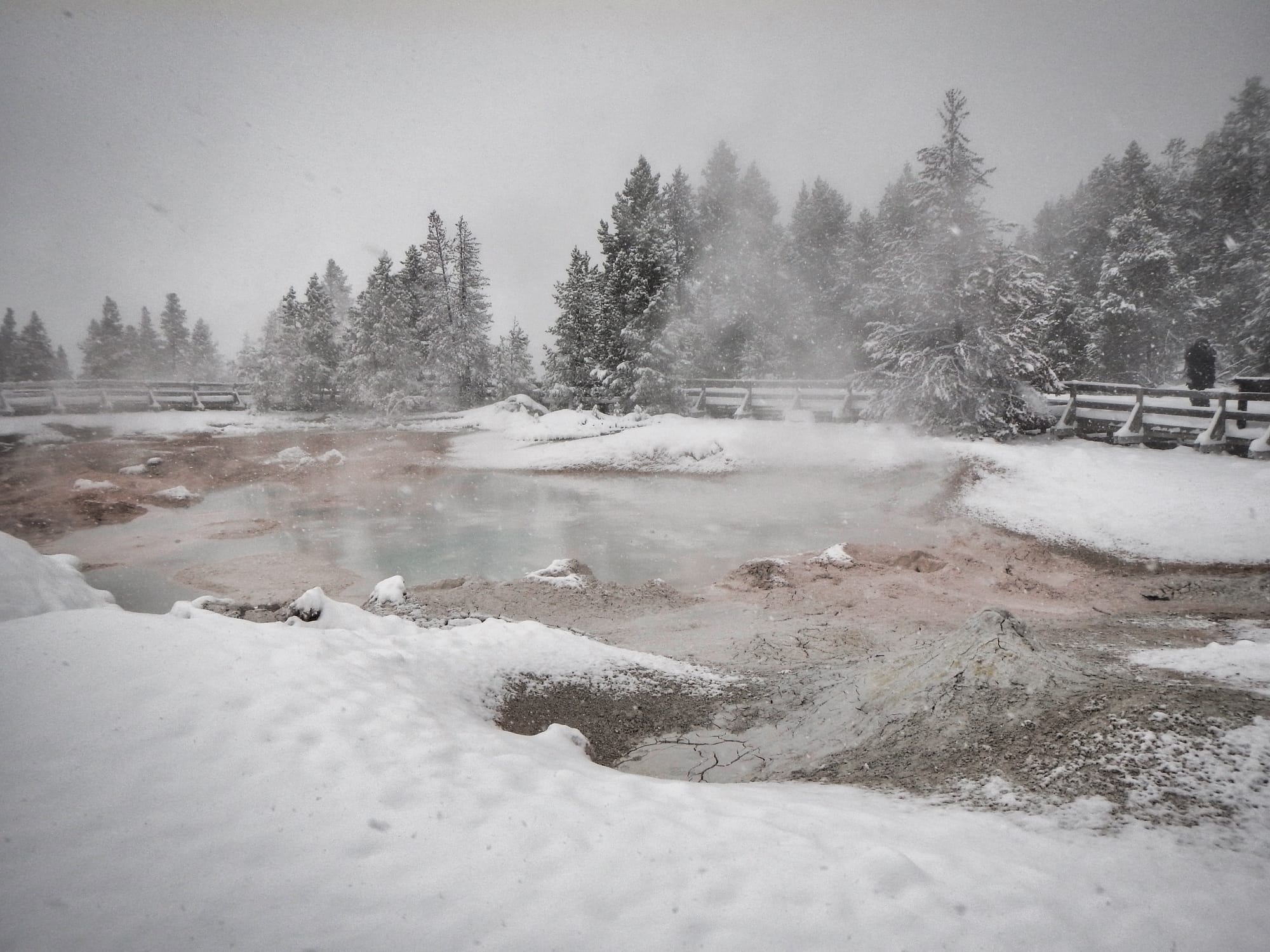 Photo by Author — Fountain Paint Pots, Yellowstone National Park