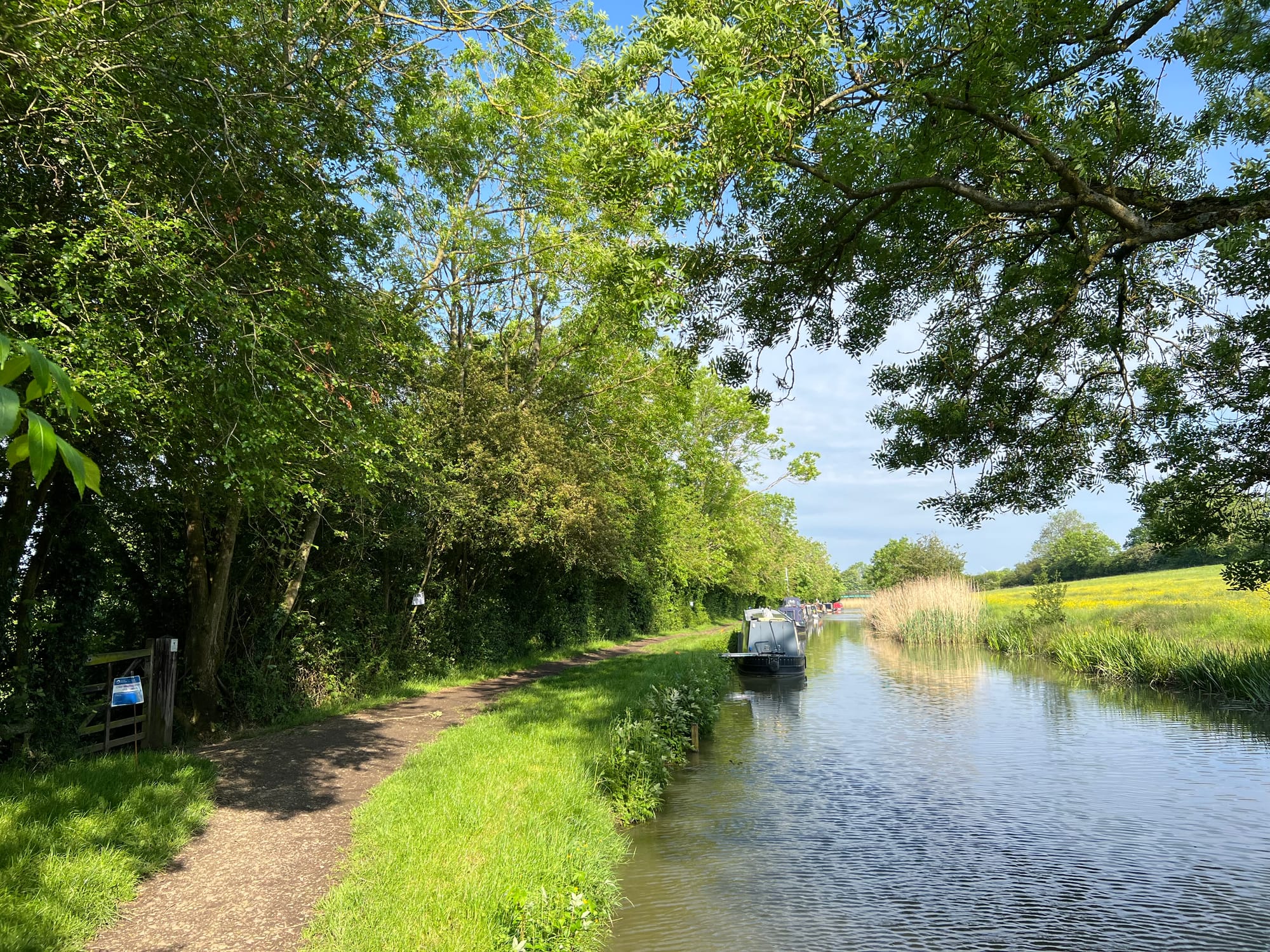 Photo by Author — an early morning walk along the towpath