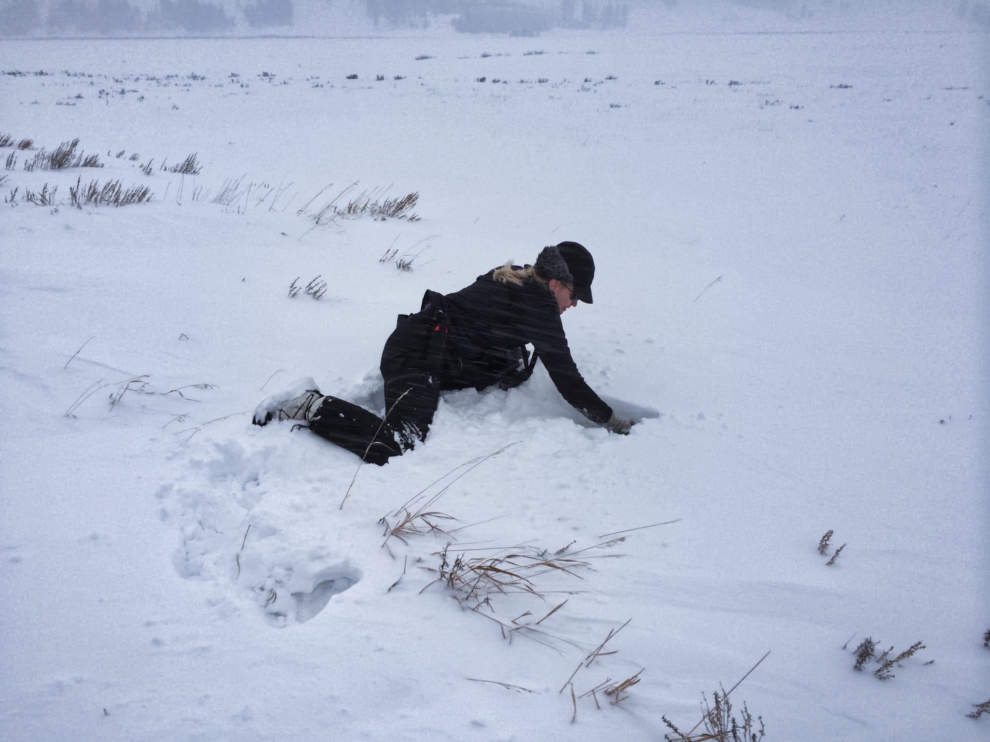 Photo by Author — Amy explaining how the snow provides different habitats for animals in the winter