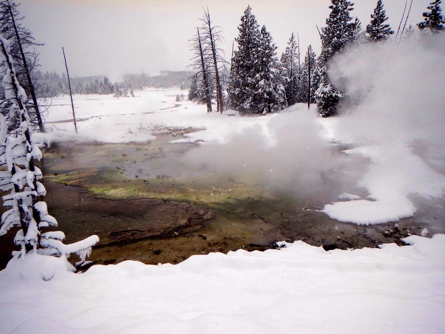 Photo by Author — thermal activity in Norris Geyser Basin