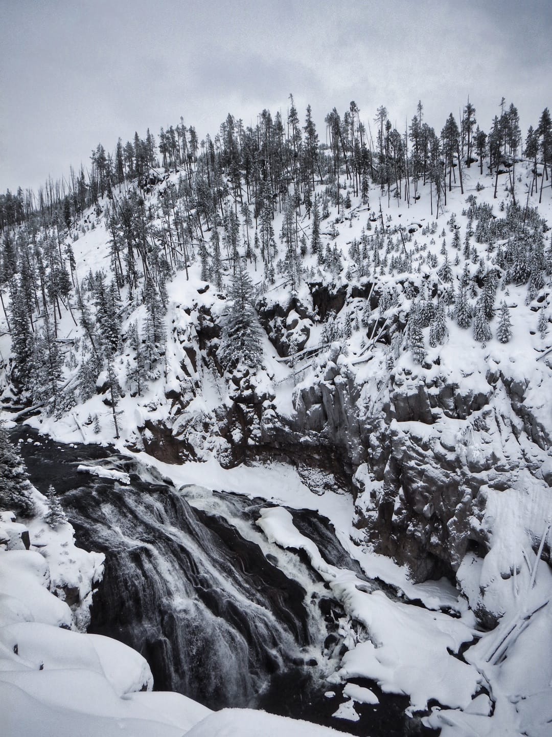 Photo by Author — Wild River, Yellowstone National Park