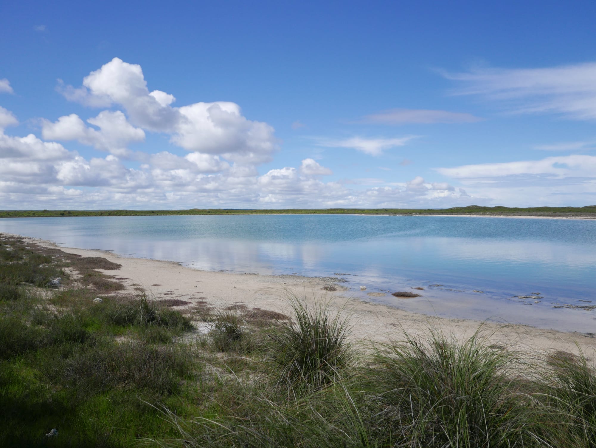 Photo by Author — shoreline of Lake Thetis, Cervantes, WA 6511, Australia
