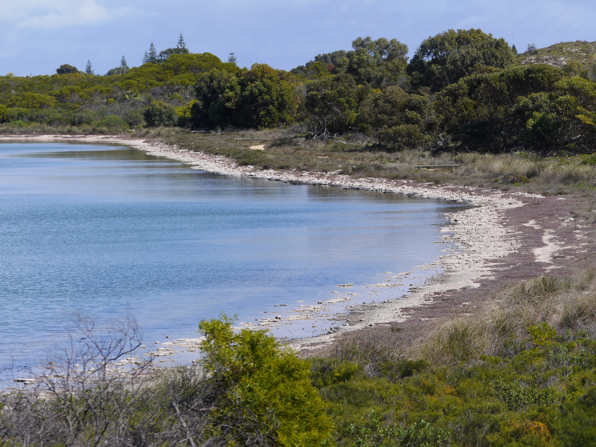 Photo by Author — shoreline of Lake Thetis, Cervantes, WA 6511, Australia