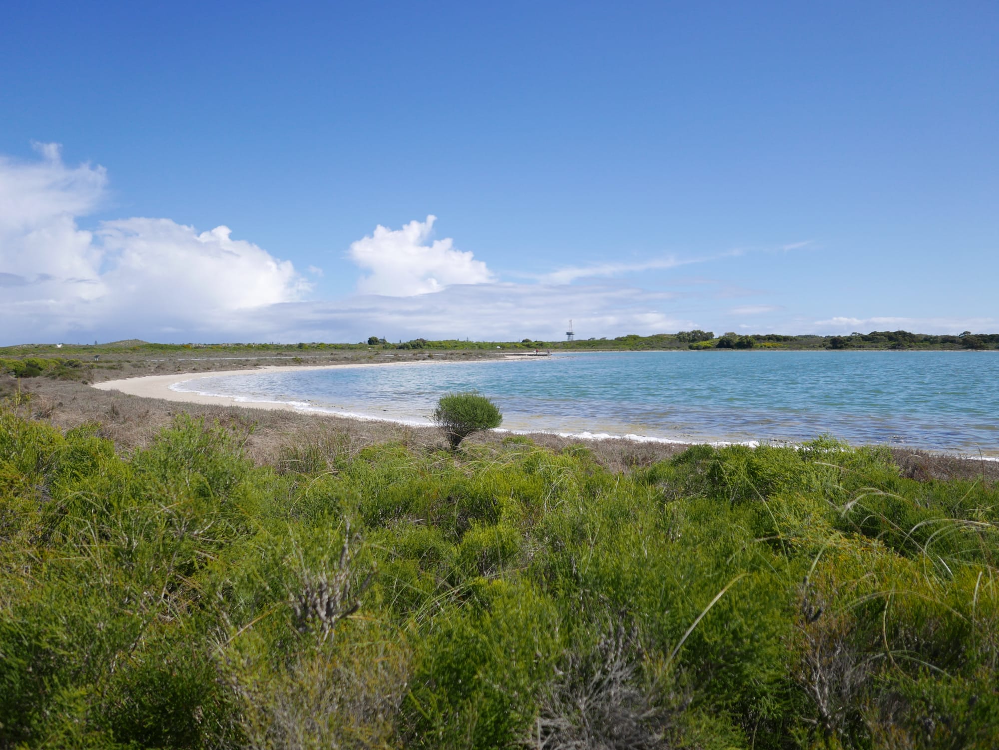 Photo by Author — shoreline of Lake Thetis, Cervantes, WA 6511, Australia