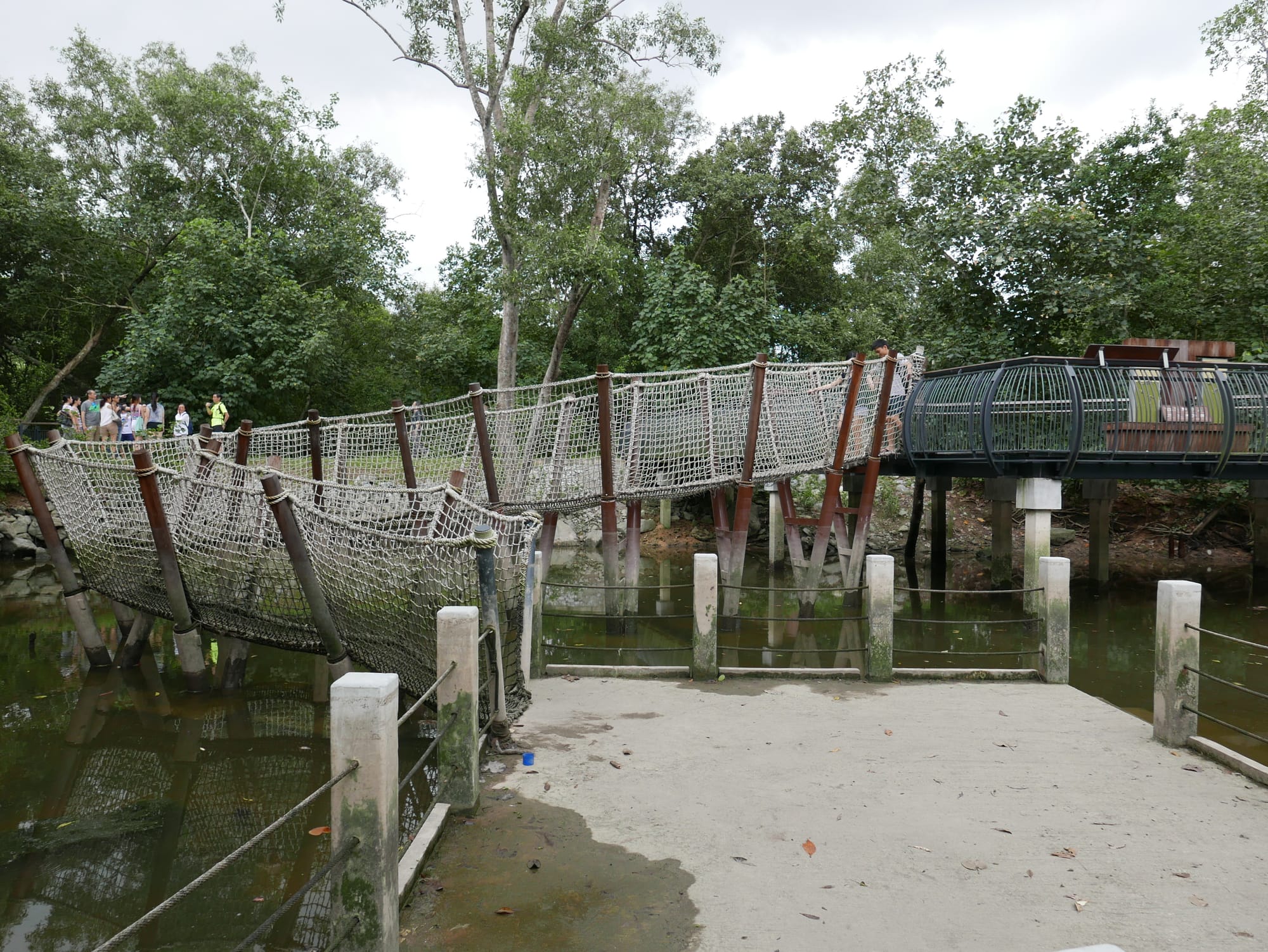 Photo by Author — elevated walkway over the mudflats — Sungei Buloh Wetland Reserve, Singapore