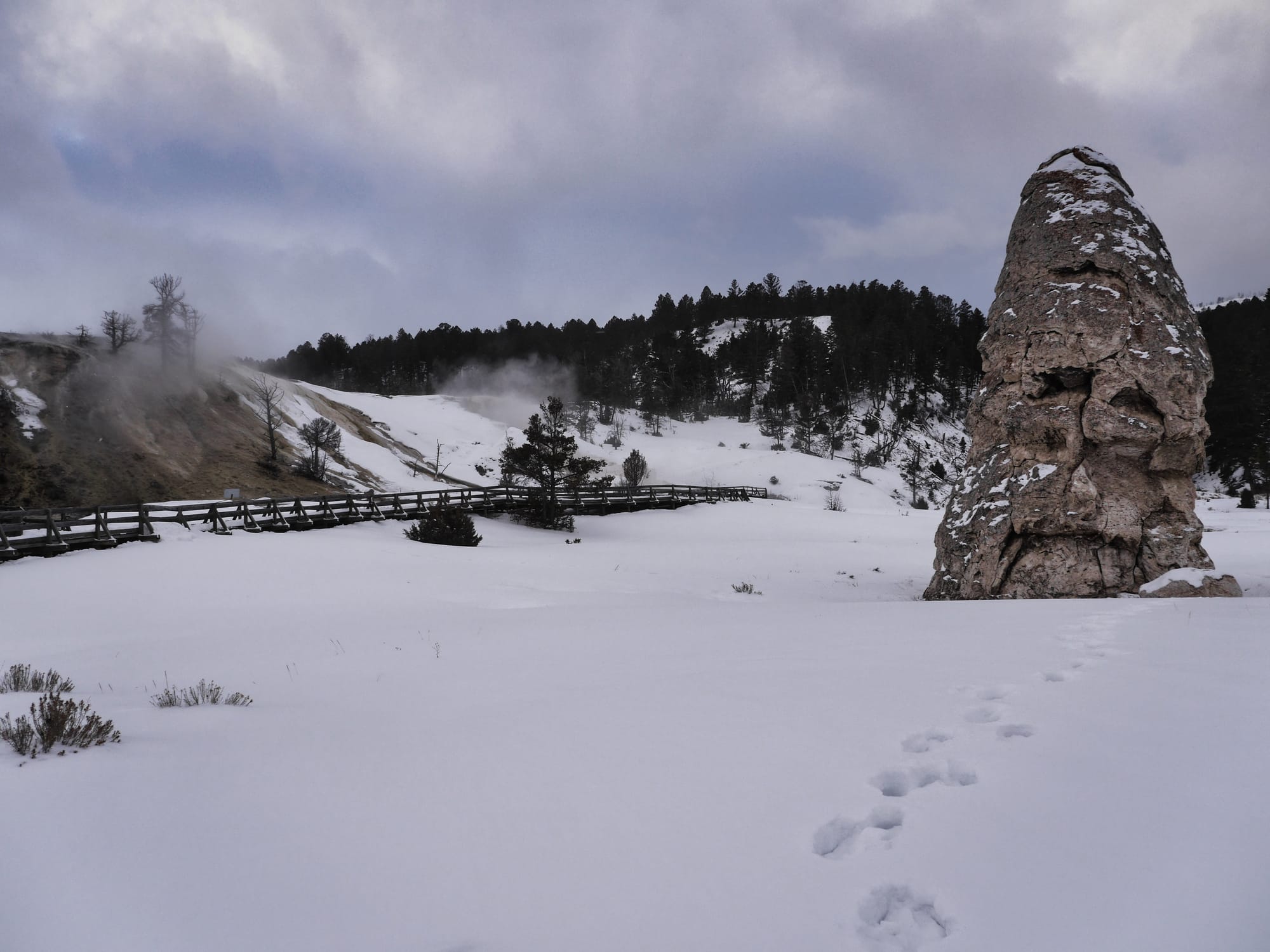 Photo by Author — first view of the Mammoth Hot Springs