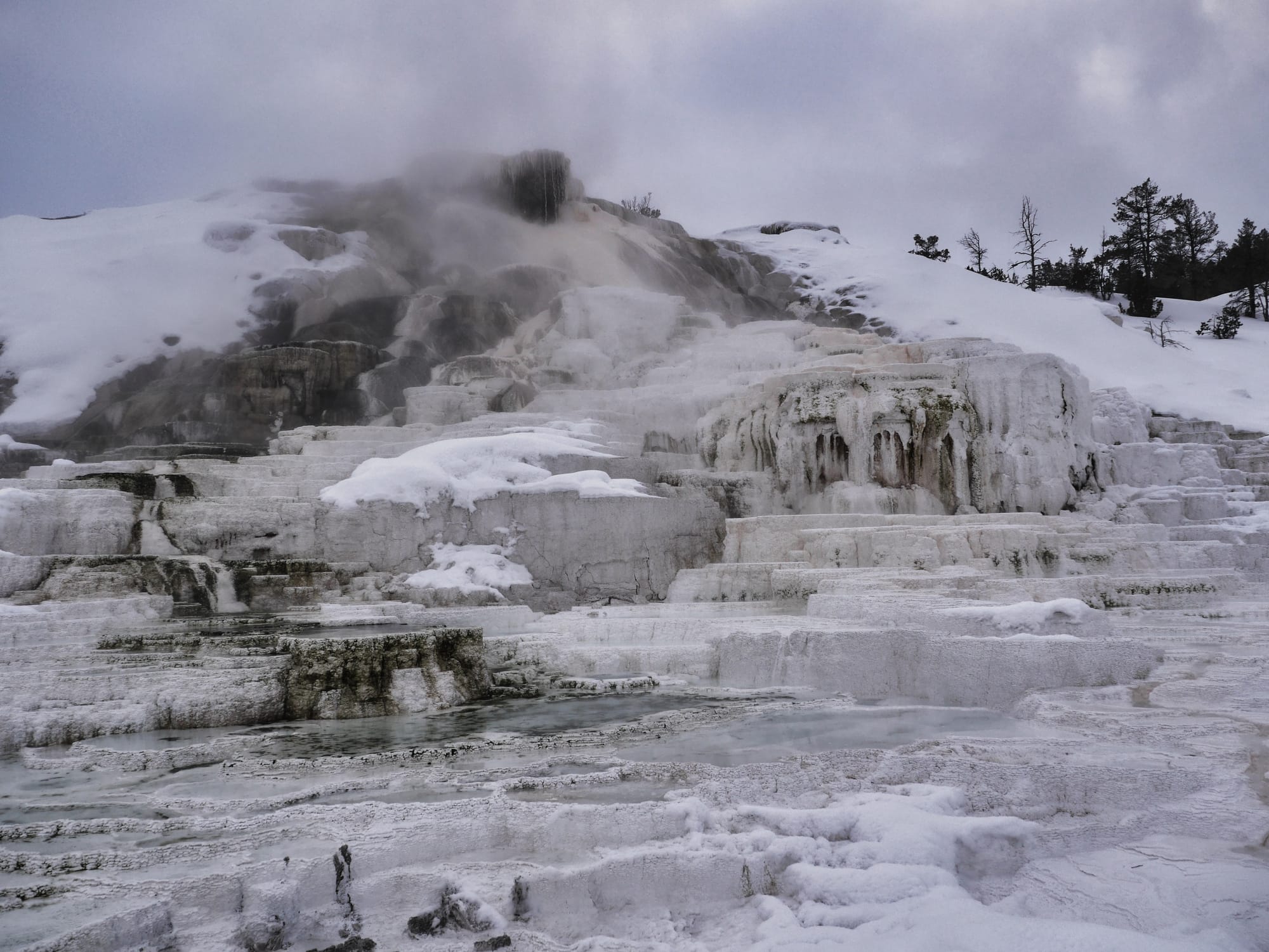Photo by Author — Mammoth Hot Springs in the winter