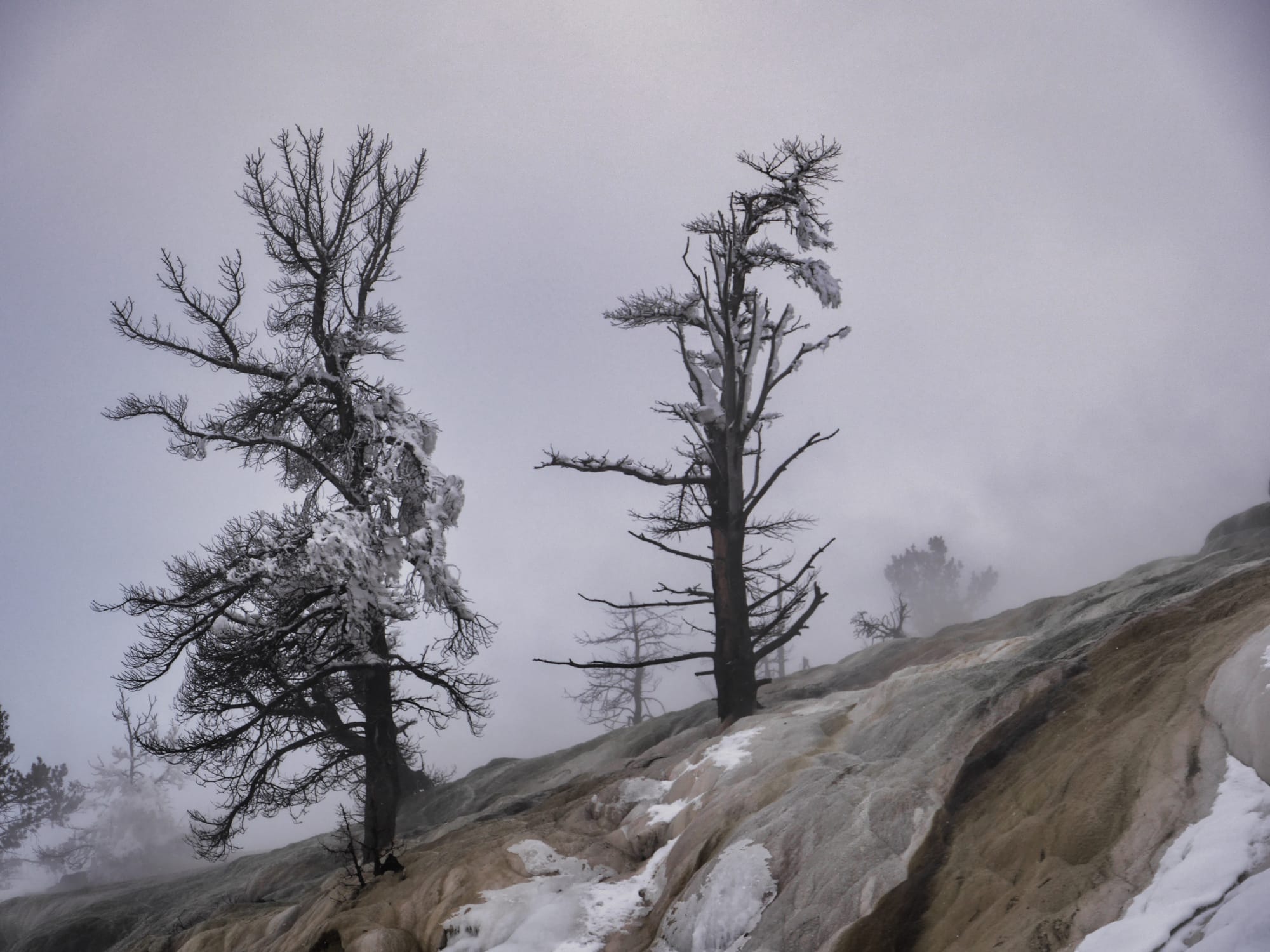 Photo by Author — Mammoth Hot Springs in the winter