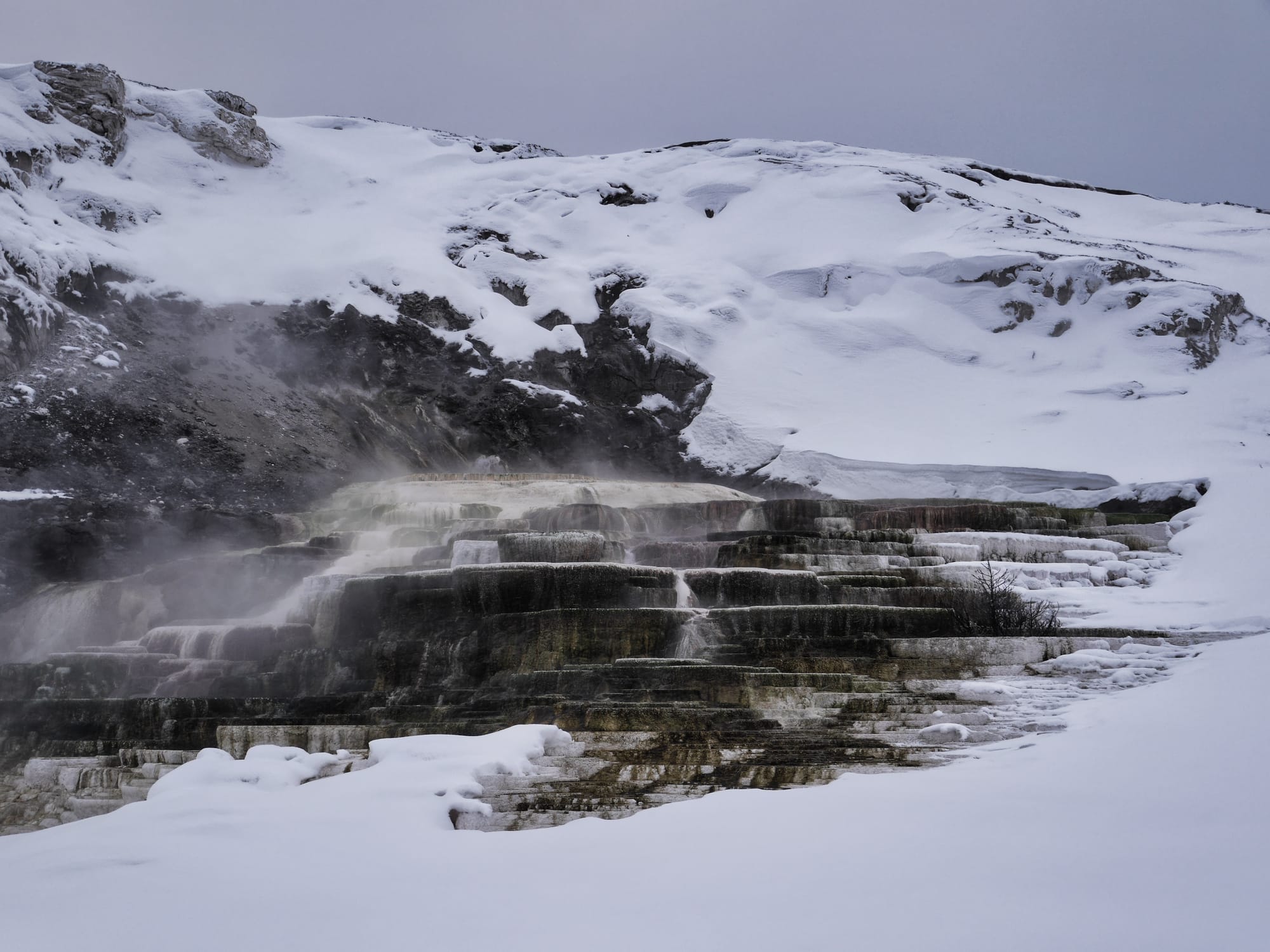 Photo by Author — Mammoth Hot Springs in the winter