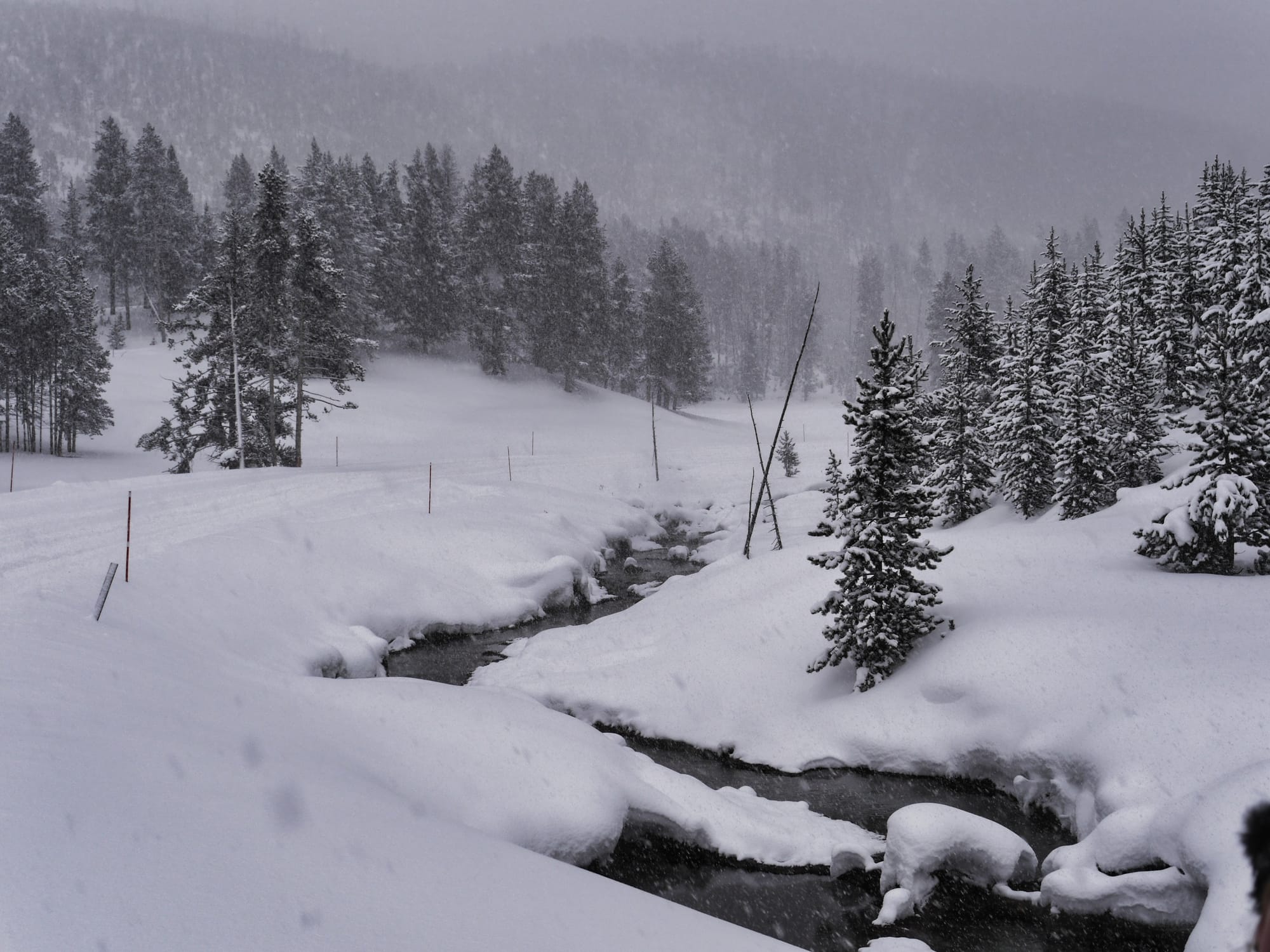 Photo by Author — stunning scenery in Yellowstone National Park