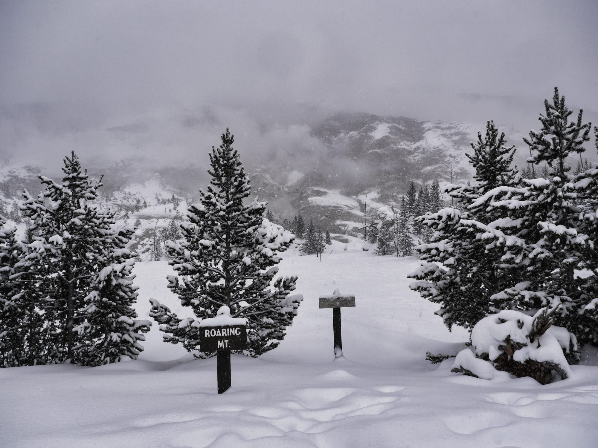 Photo by Author — Roaring Mountain