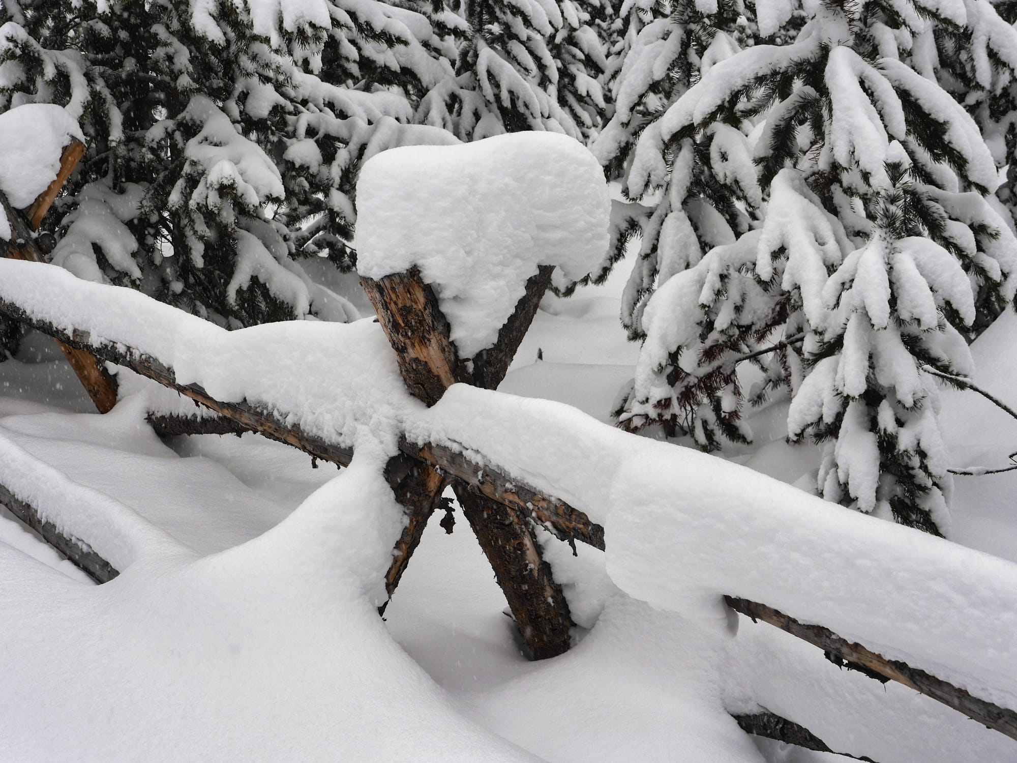 Photo by Author — a lot of snow in Norris Geyser Basin