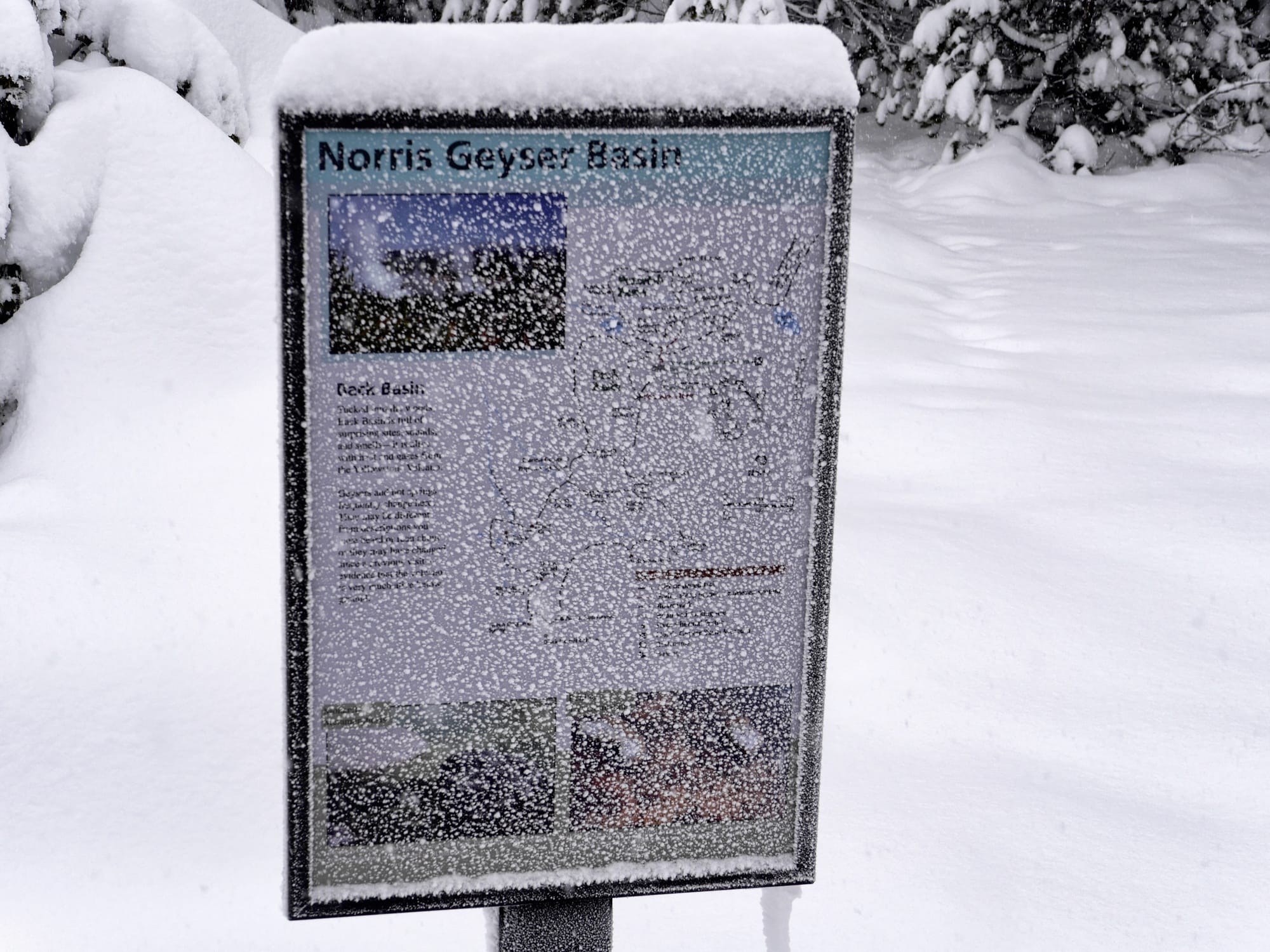 Photo by Author — Norris Geyser Basin