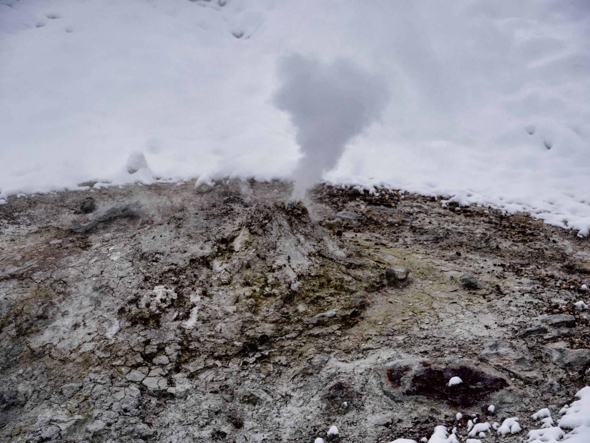 Photo by Author — a close-up of a mini-mud volcano, Norris Geyser Basin