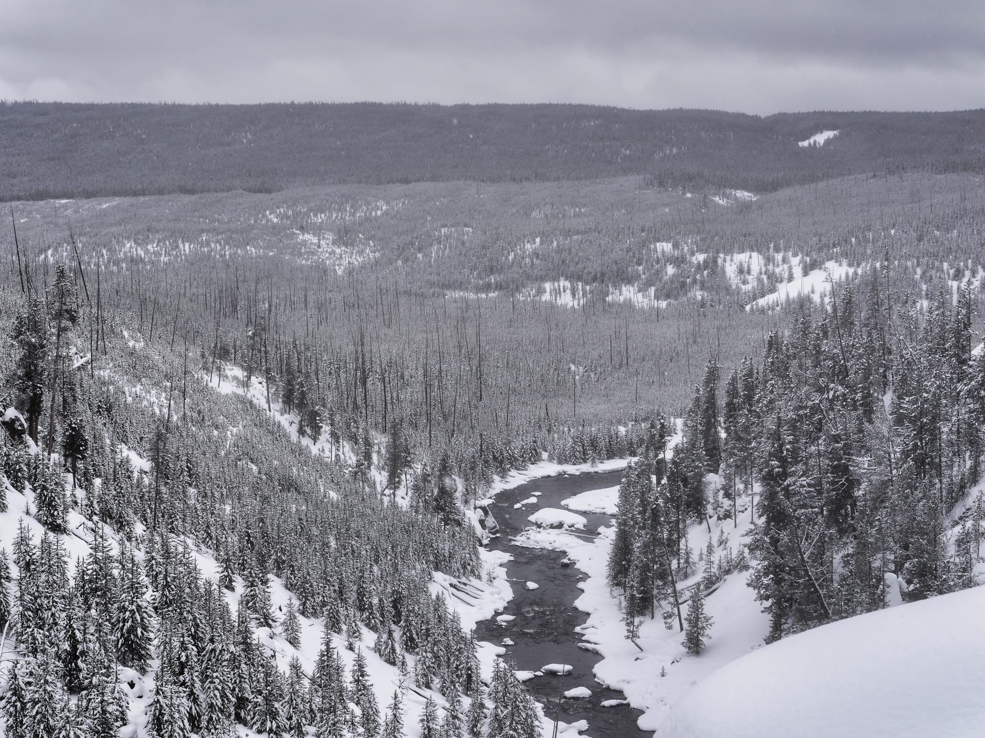 Photo by Author — Wild River, Yellowstone National Park