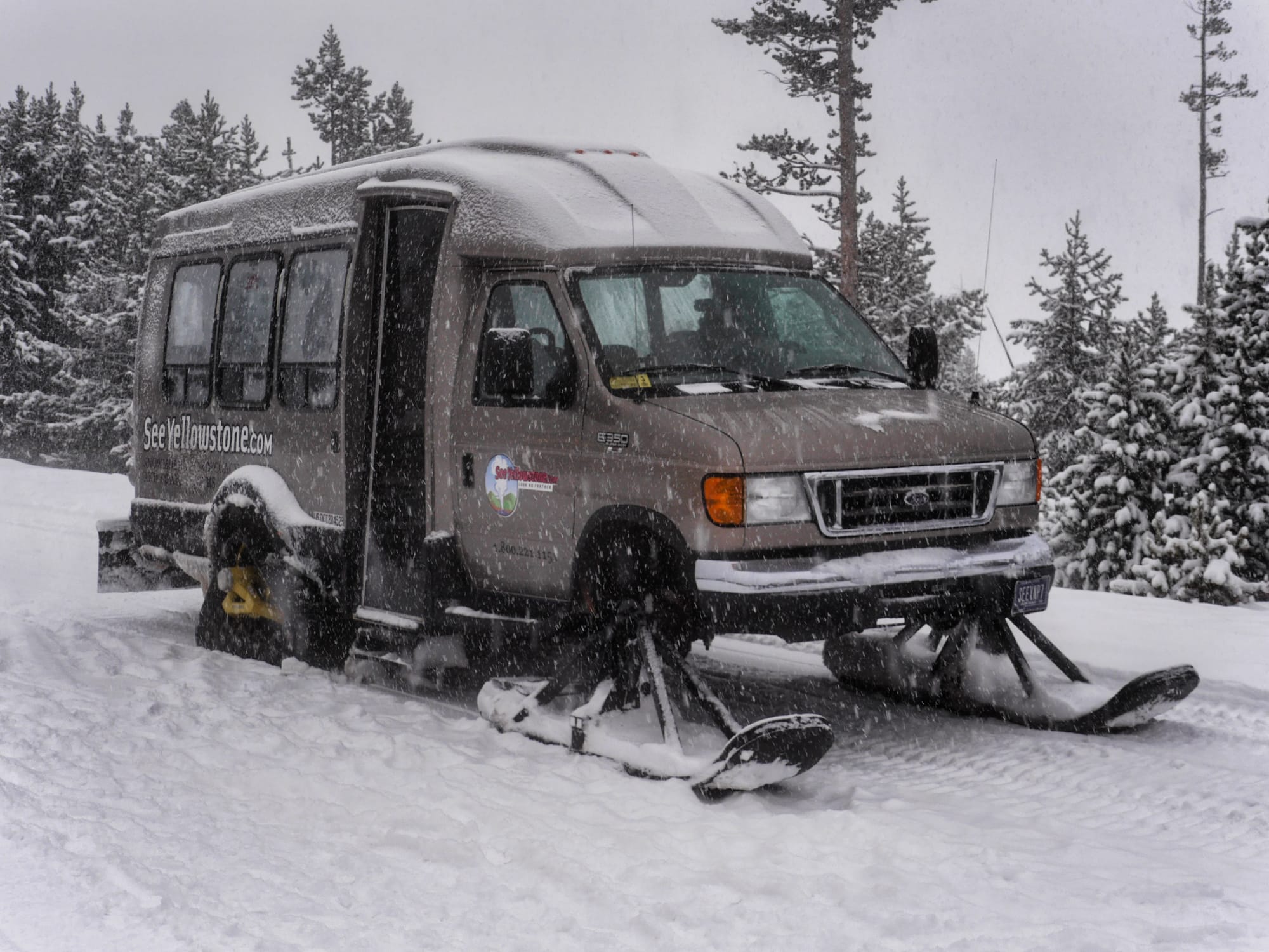 Photo by Author — a third type — a much roomer one than ours, and I like the big skis