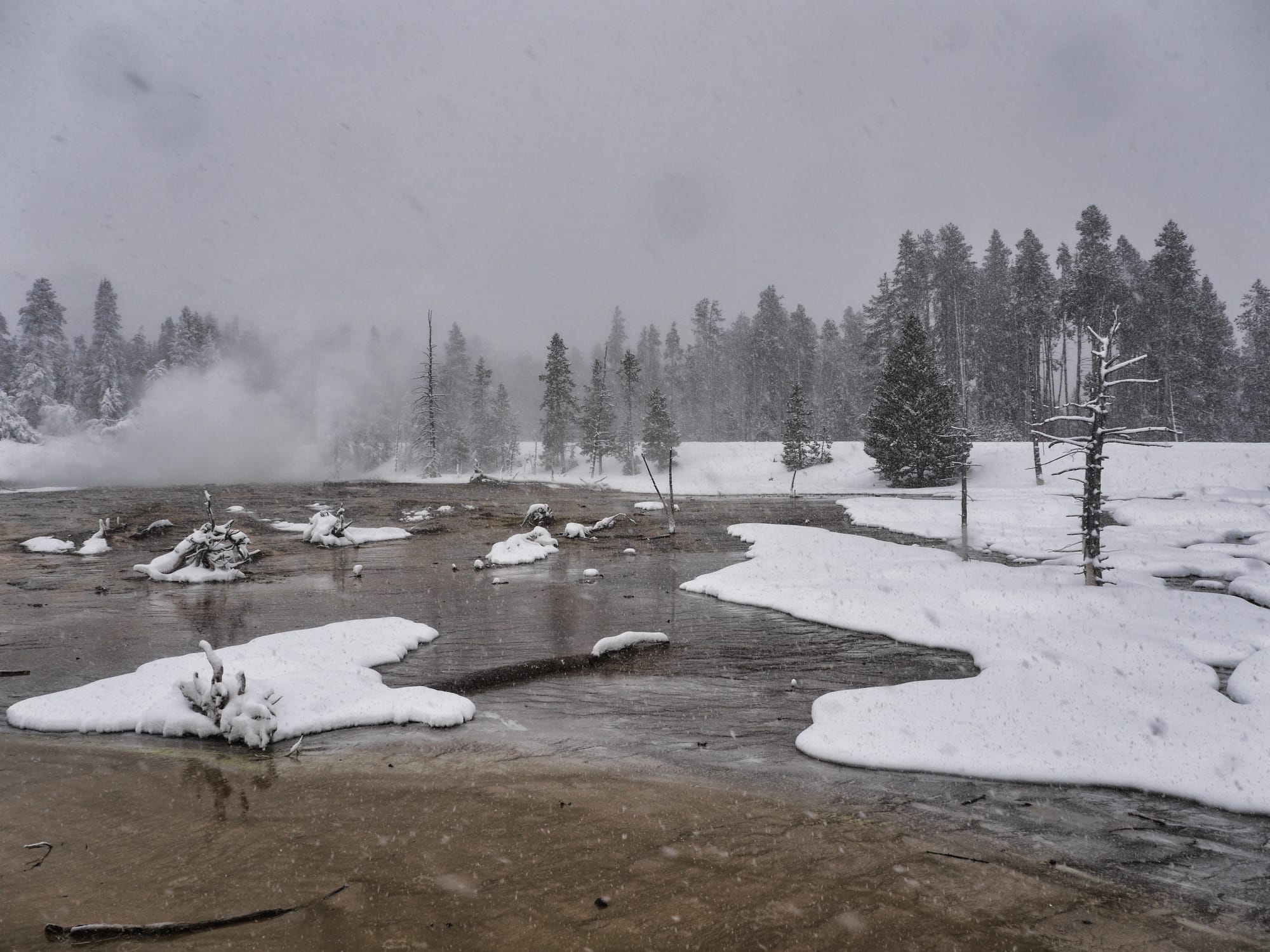 Photo by Author — Fountain Paint Pots, Yellowstone National Park