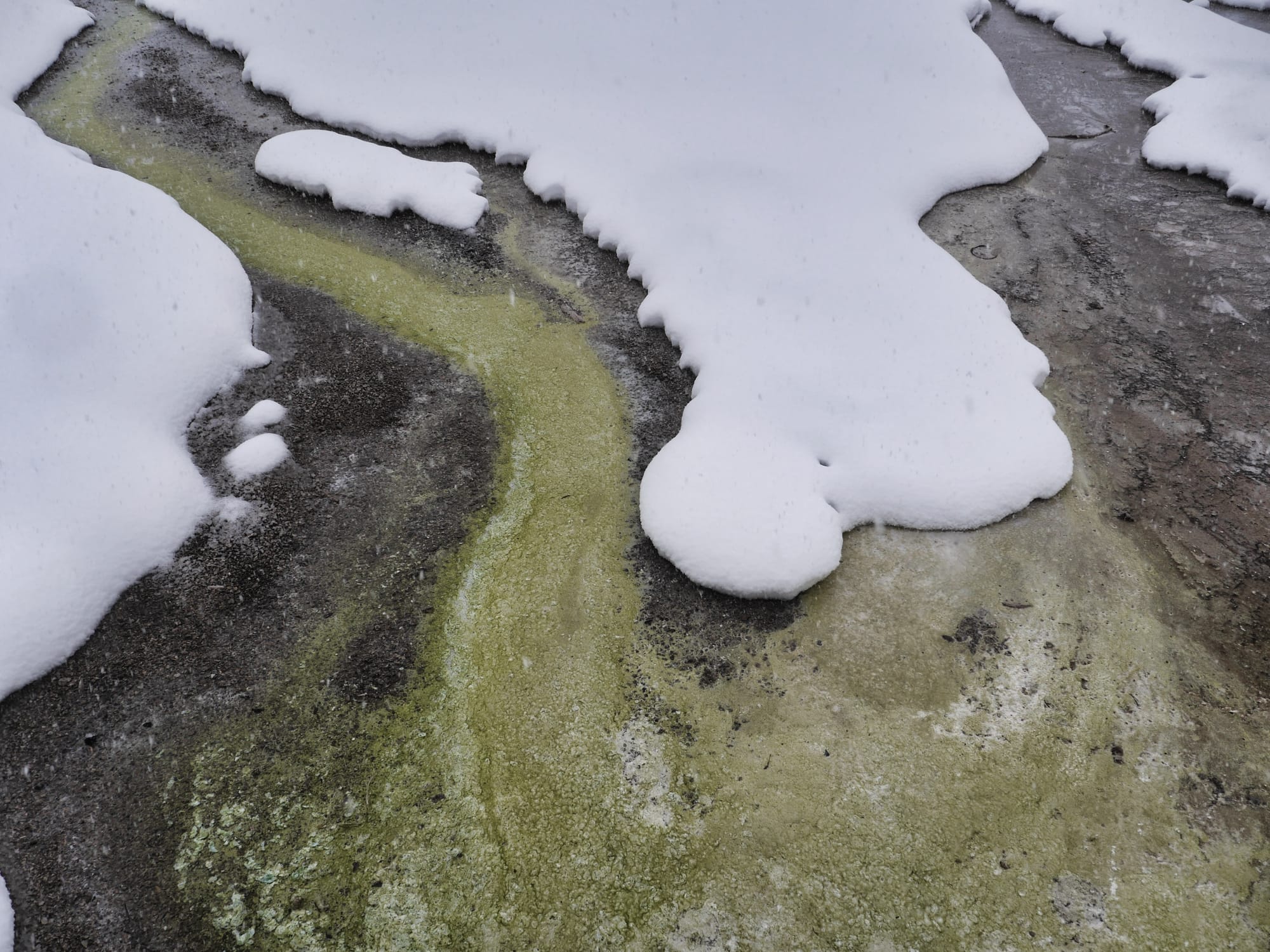 Photo by Author — Fountain Paint Pots, Yellowstone National Park